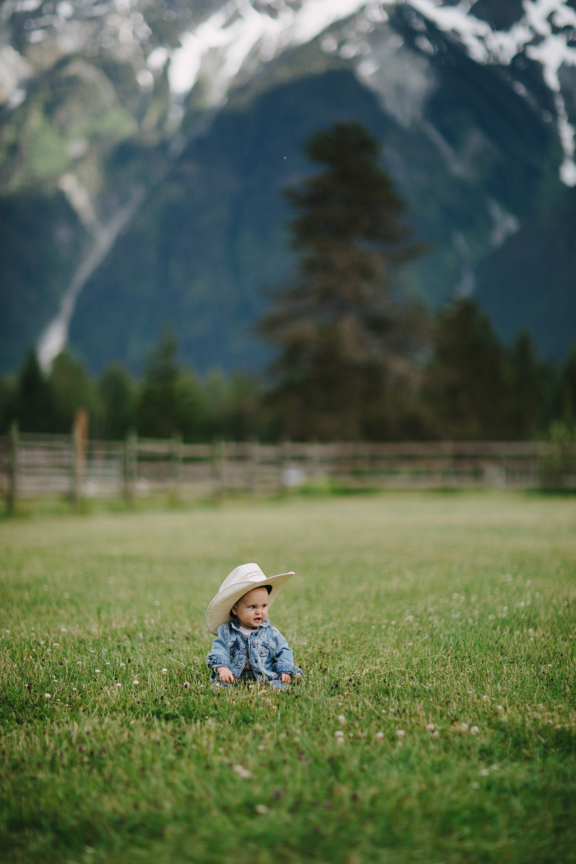 Toddler in cowboy hat and denim shirt standing in meadow with snow-capped mountains and evergreens behind