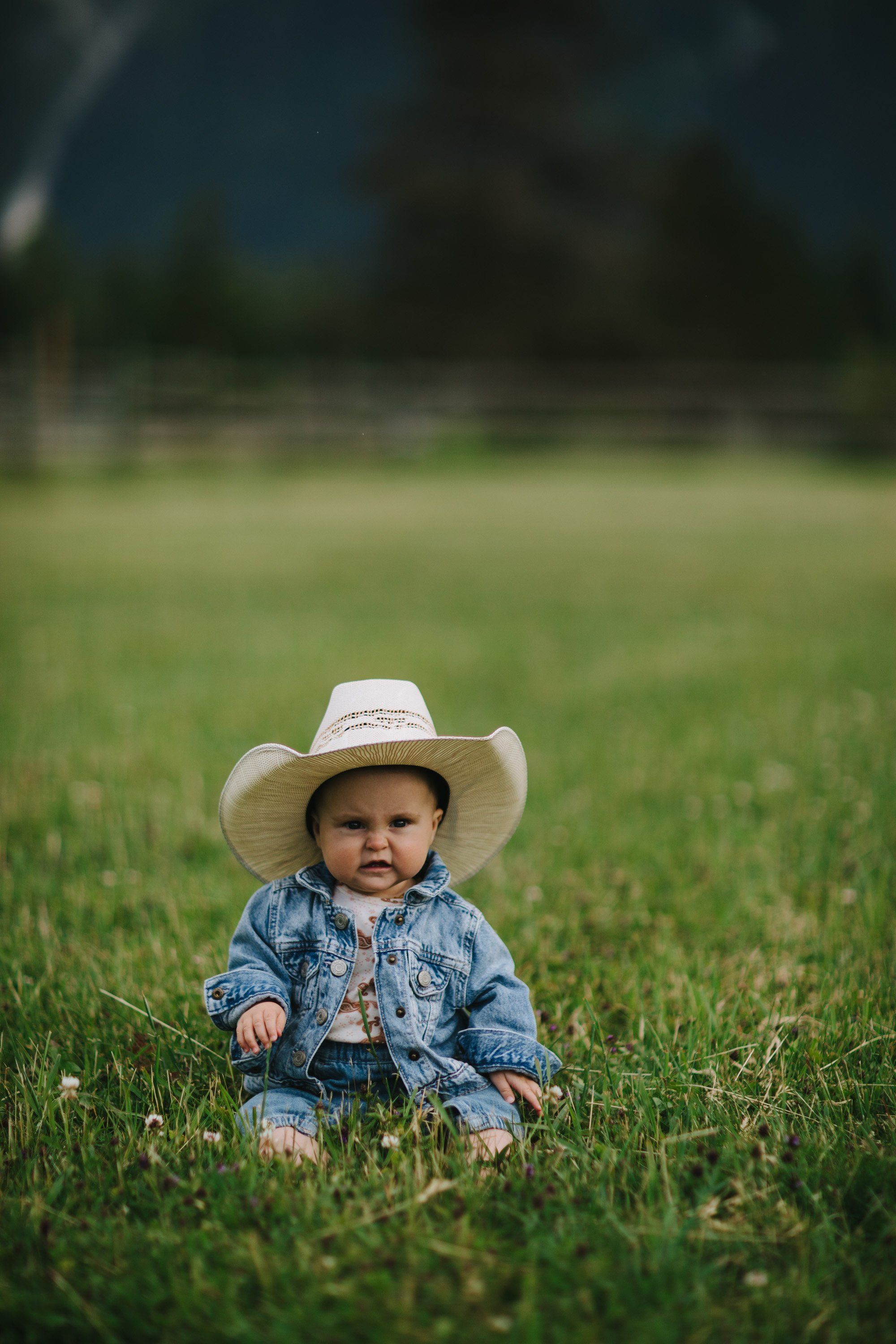 Toddler in cowboy hat and denim jacket sits in a sunlit meadow with soft-focused trees behind