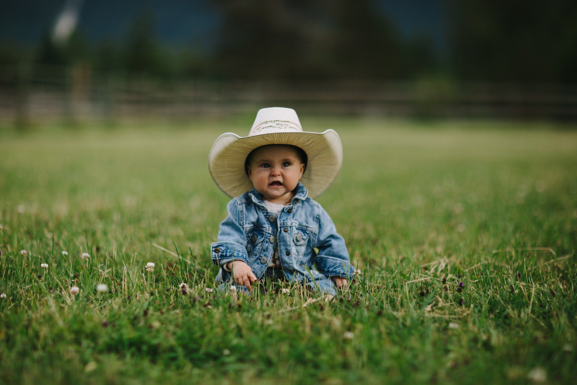 Toddler in denim shirt and straw cowboy hat sits in green grass, gazing toward camera with soft natural light in a pastoral setting
