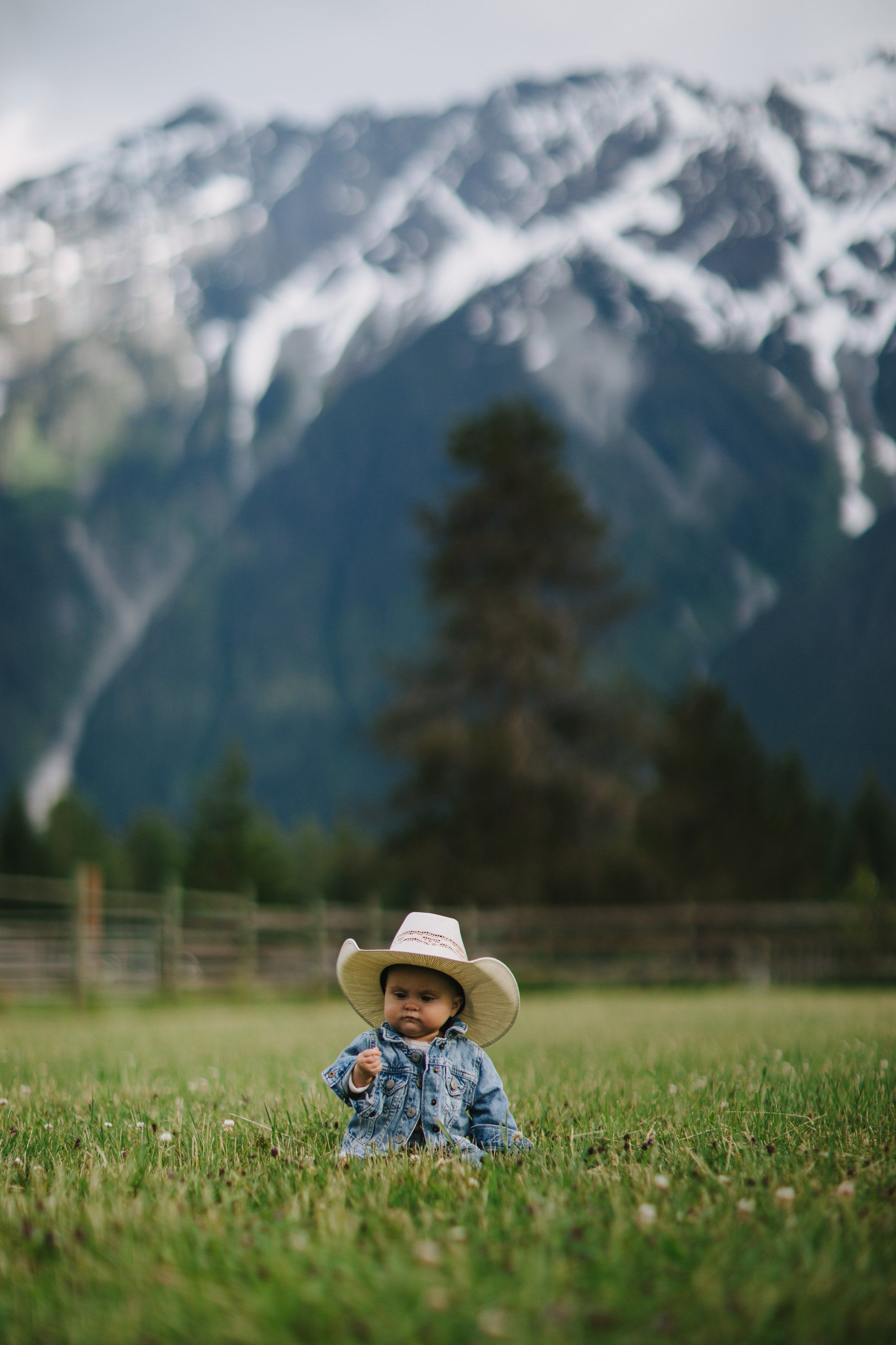 Toddler in cowboy hat and plaid shirt sitting in grassy meadow with snow-capped mountains and evergreens behind