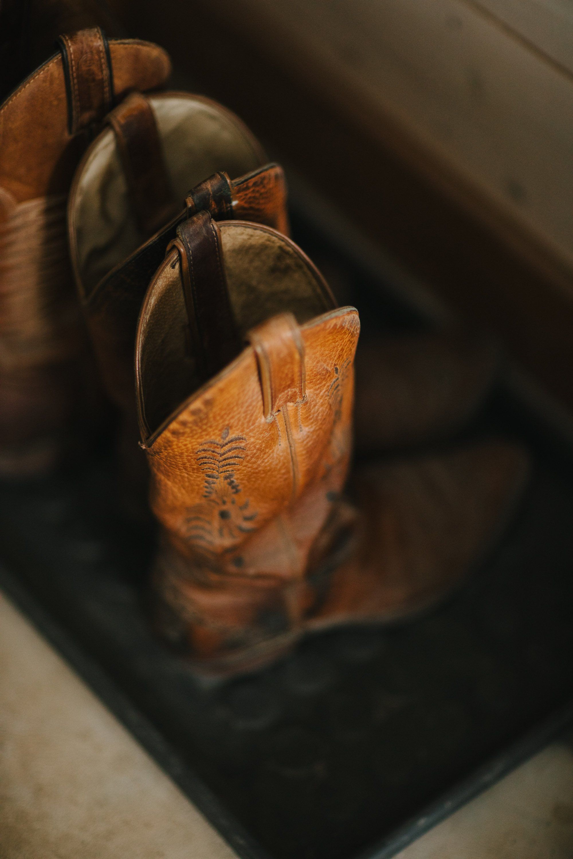 Warm leather cowboy boots arranged in a row, bathed in golden sunlight against a dark background