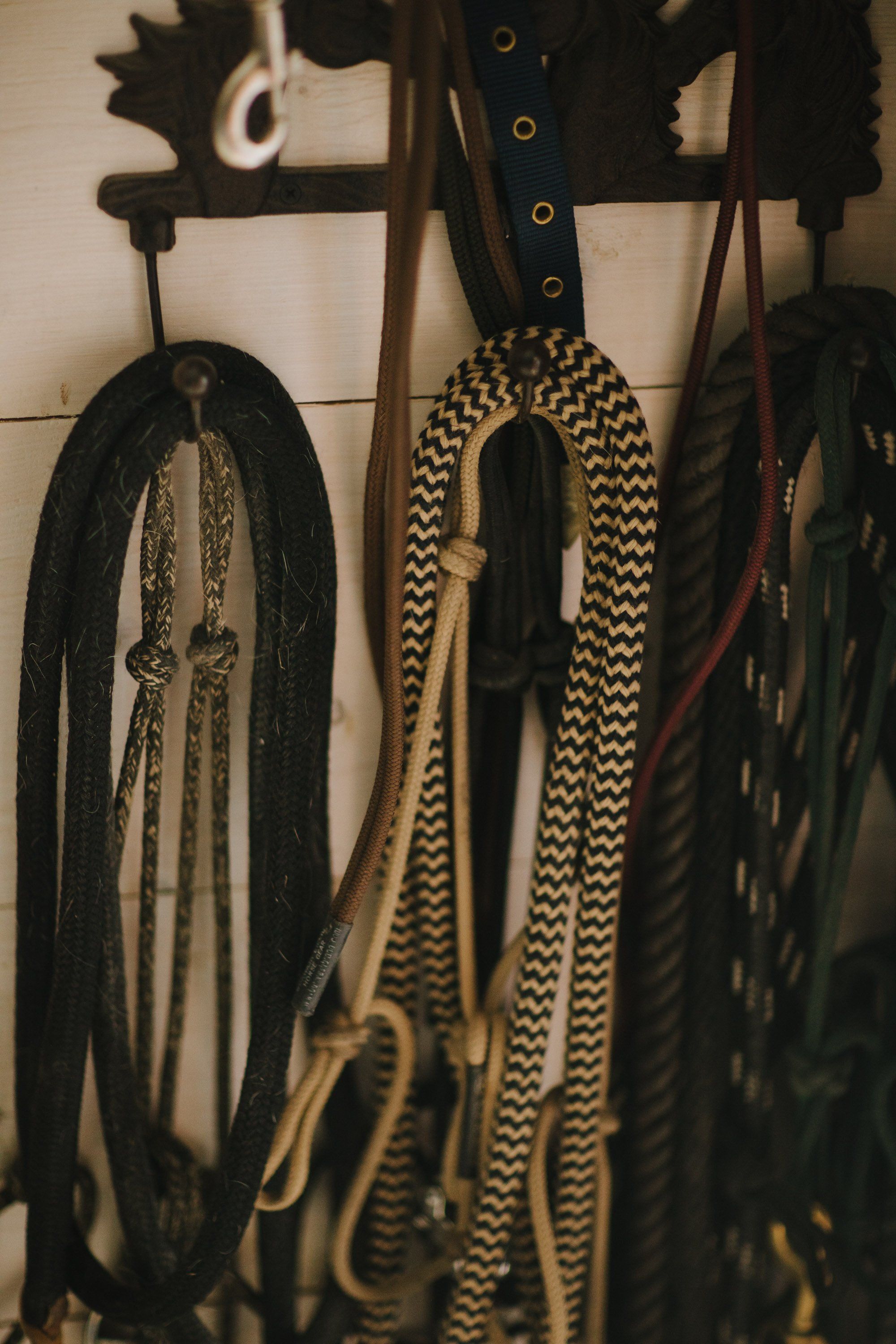 Climbing ropes in black and cream colors hang organized on a wooden rack against a white wall