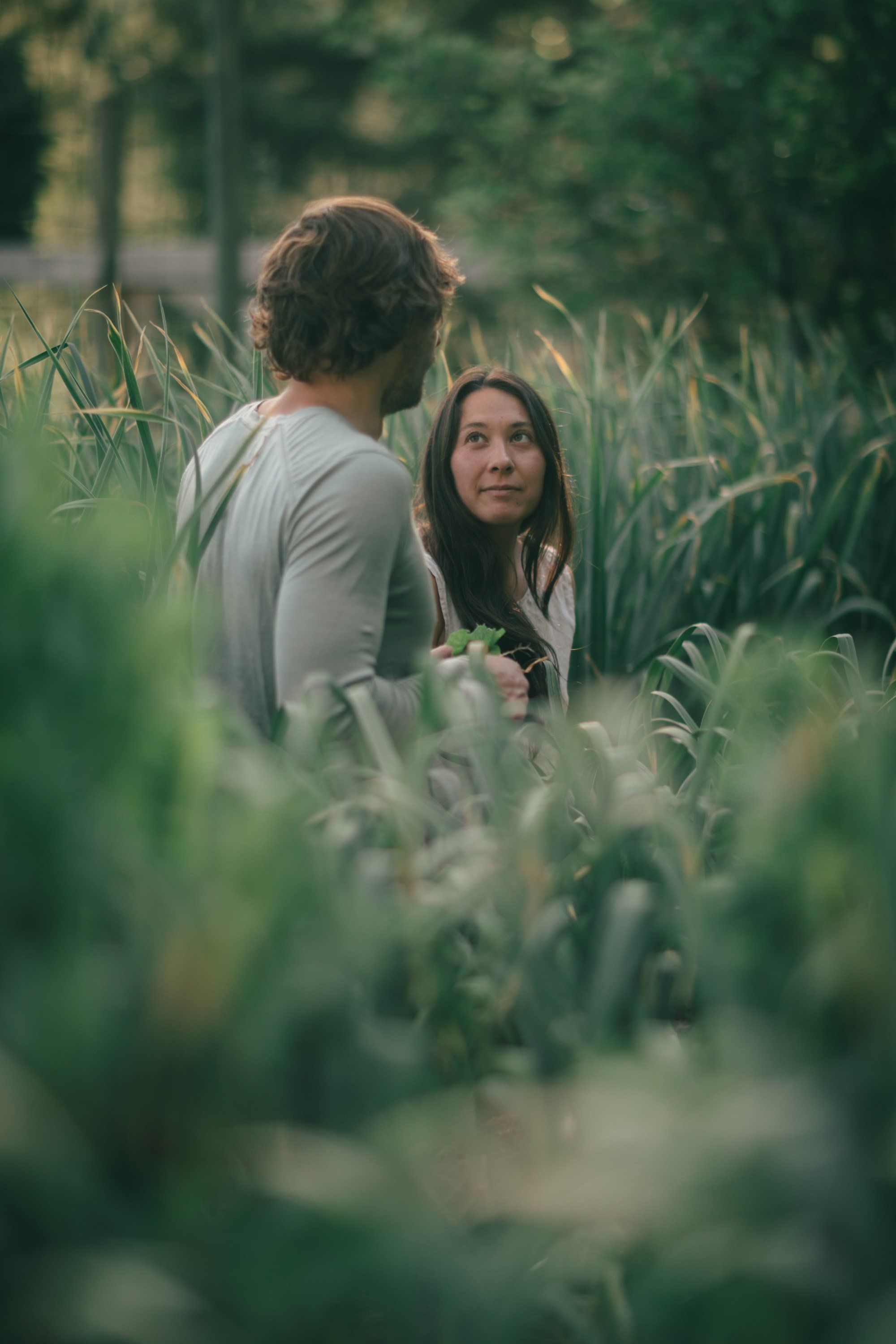 Couple stands close among tall green corn stalks in golden afternoon light, woman gazing toward camera with intimate expression