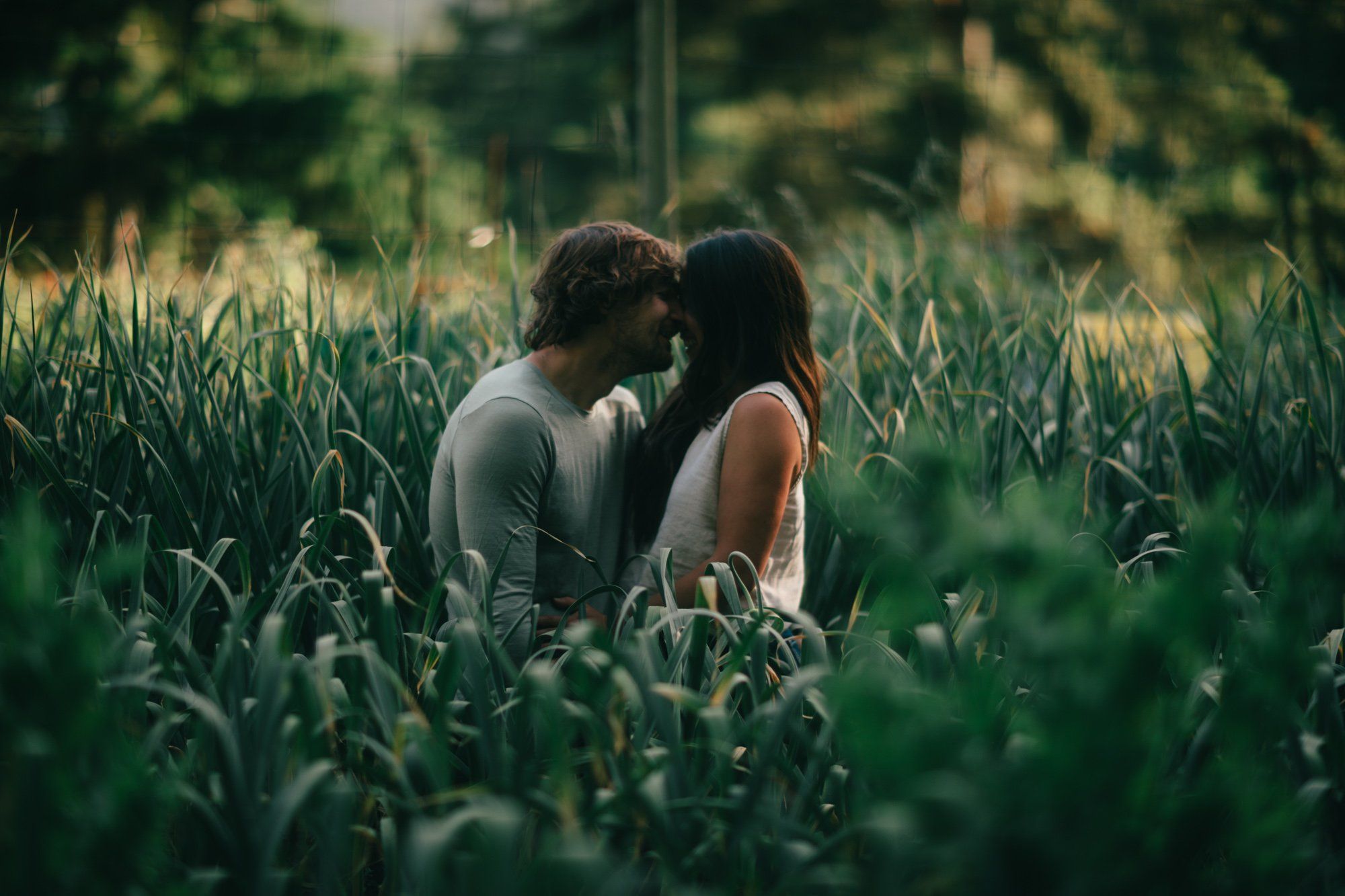 Couple kissing intimately in a tall corn field at golden hour, soft natural light filtering through green stalks