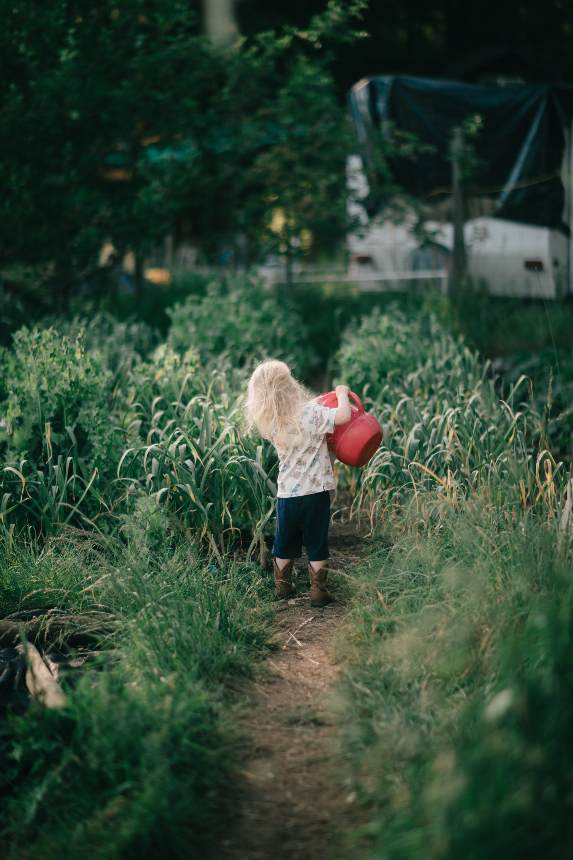 Child in white shirt carrying red bucket walks down overgrown garden path toward farm structures