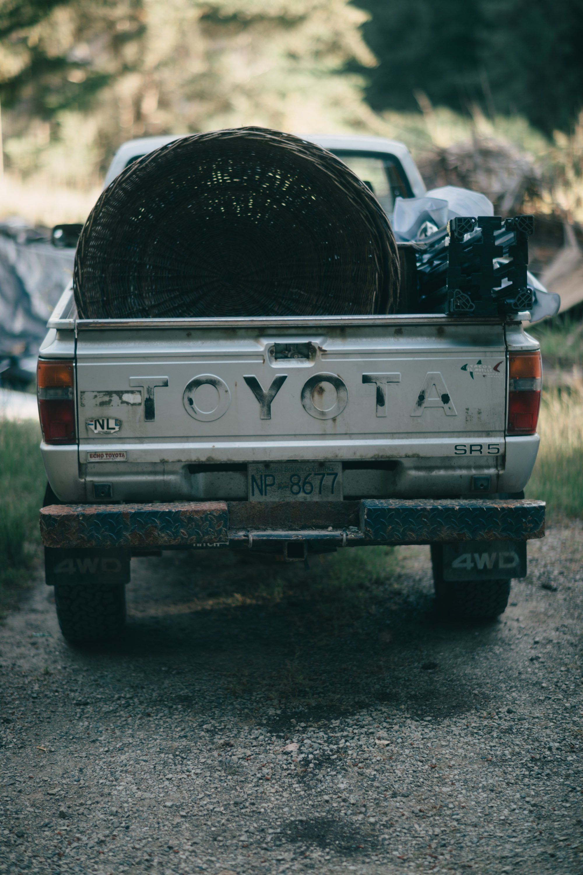 Vintage Toyota pickup truck loaded with a large tire, viewed from behind on a rural gravel road with forested hillside