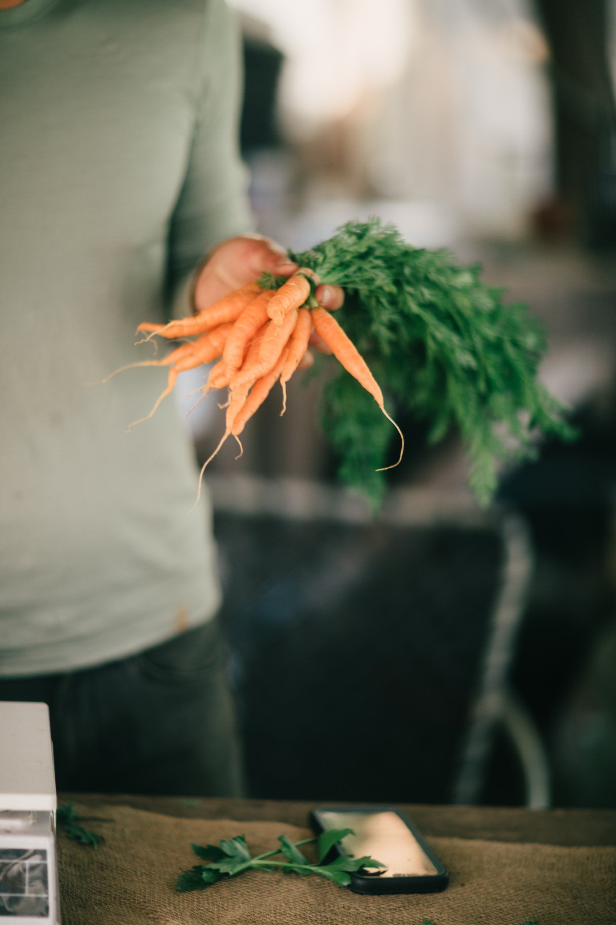 Hand holding freshly harvested carrots with vibrant orange roots and green tops at a farm setting