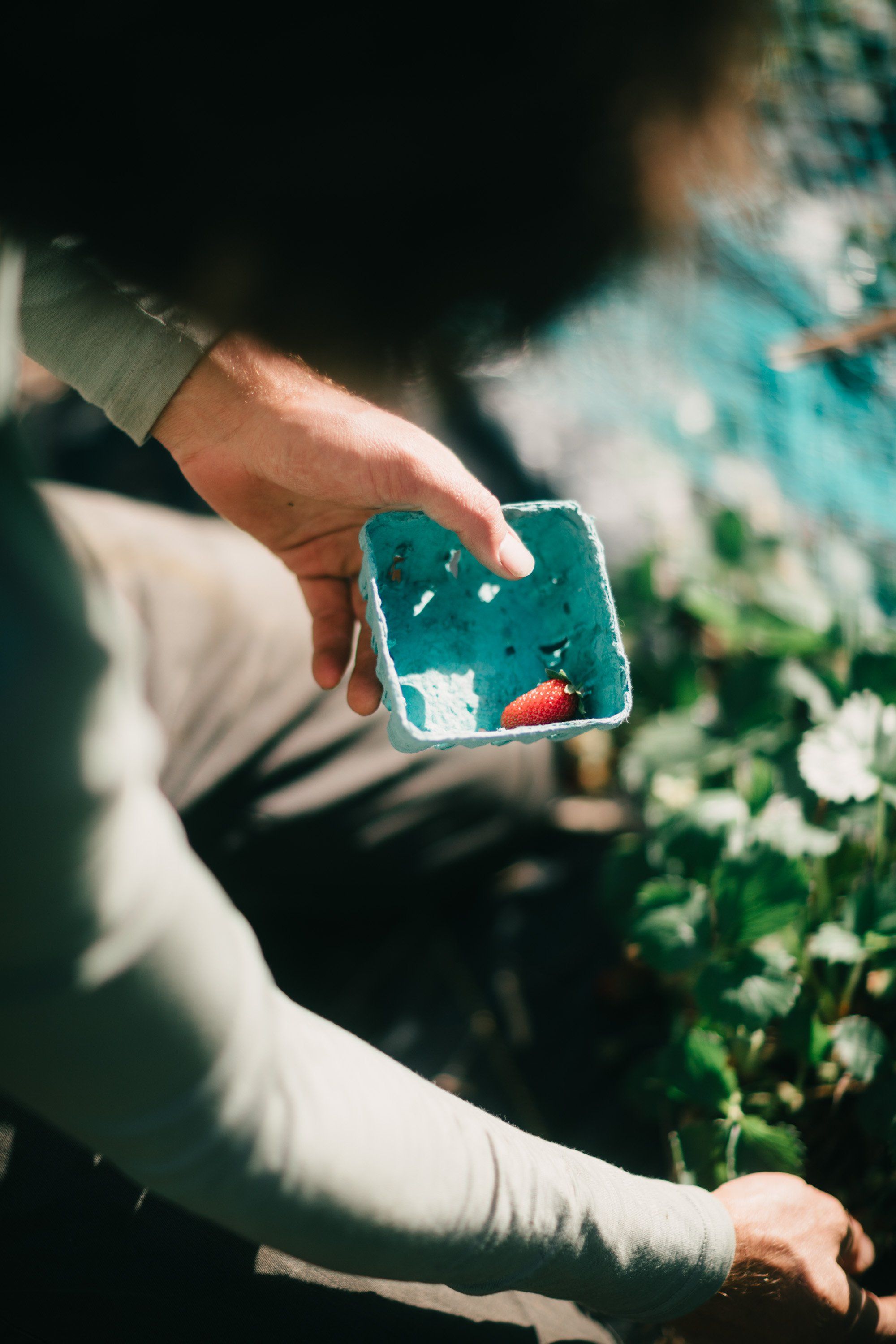 Groom's hand holding a teal and white ceramic ring dish above wildflowers, soft natural light