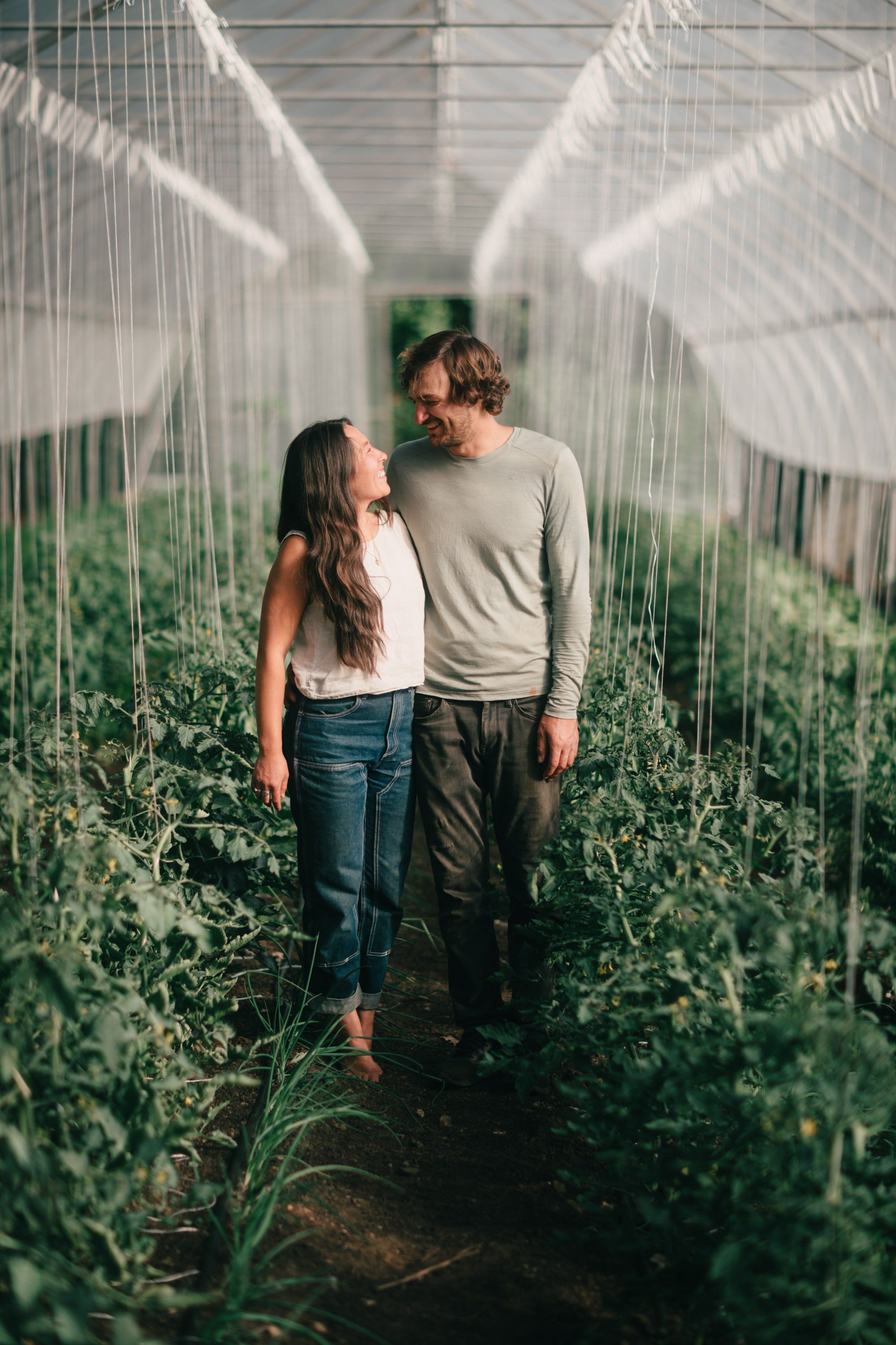 Couple walks hand-in-hand through a sunlit greenhouse corridor lined with green tomato plants on Salt Spring Island