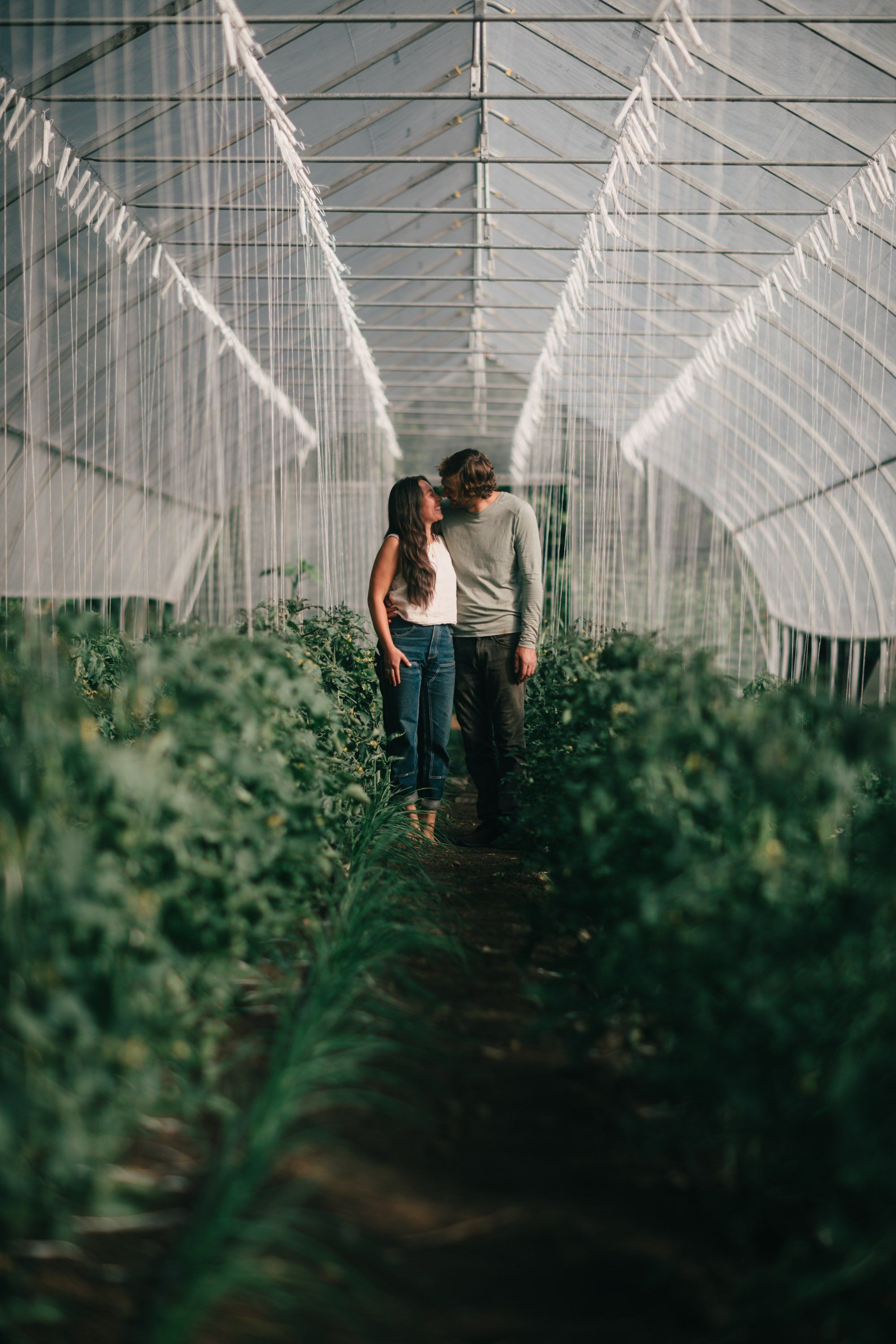 Couple walking hand-in-hand down a sunny greenhouse corridor lined with lush green plants and white shade cloth