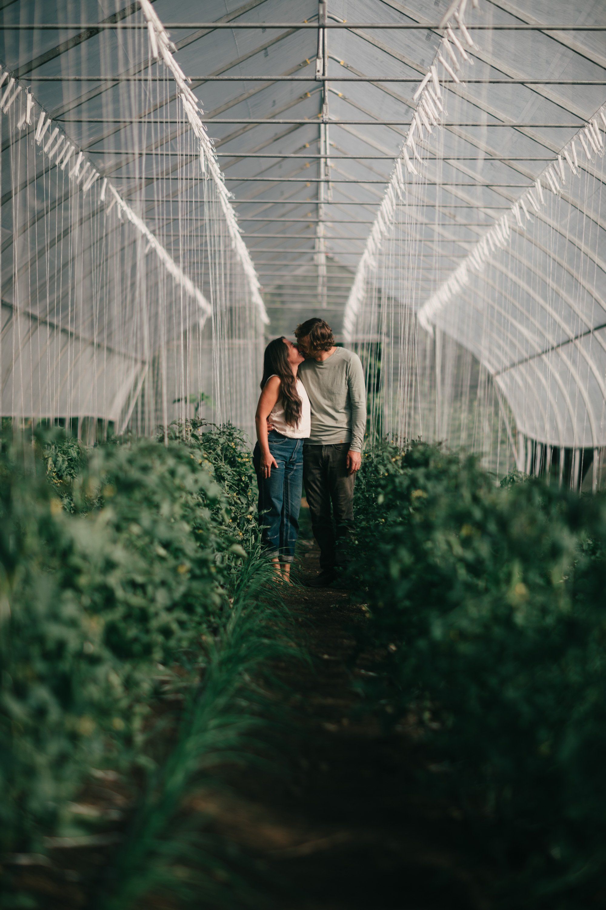 Couple walking hand-in-hand through a sunlit greenhouse corridor lined with green plants, soft light filtering through white mesh panels overhead