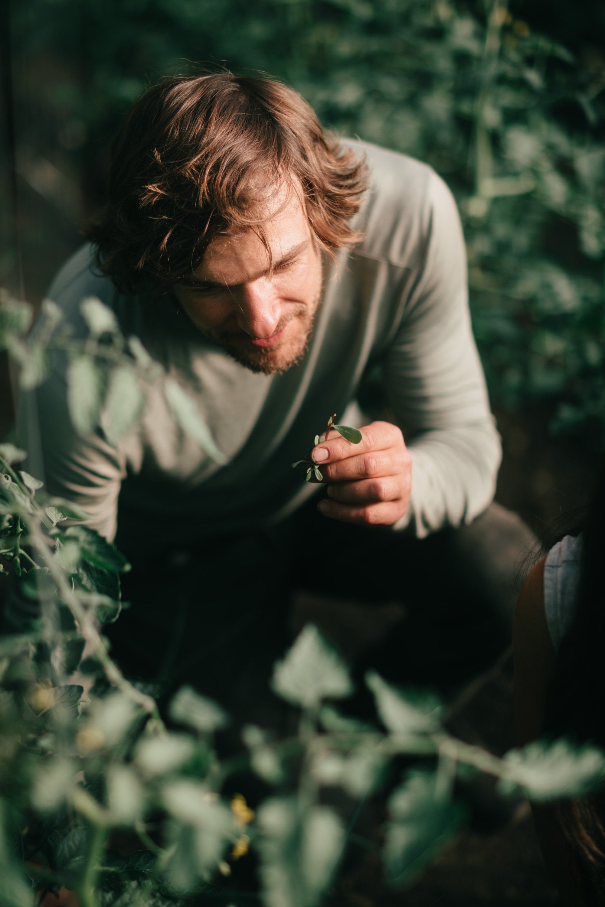 Man in sage shirt crouches among garden plants, golden sunlight filtering through foliage in intimate moment