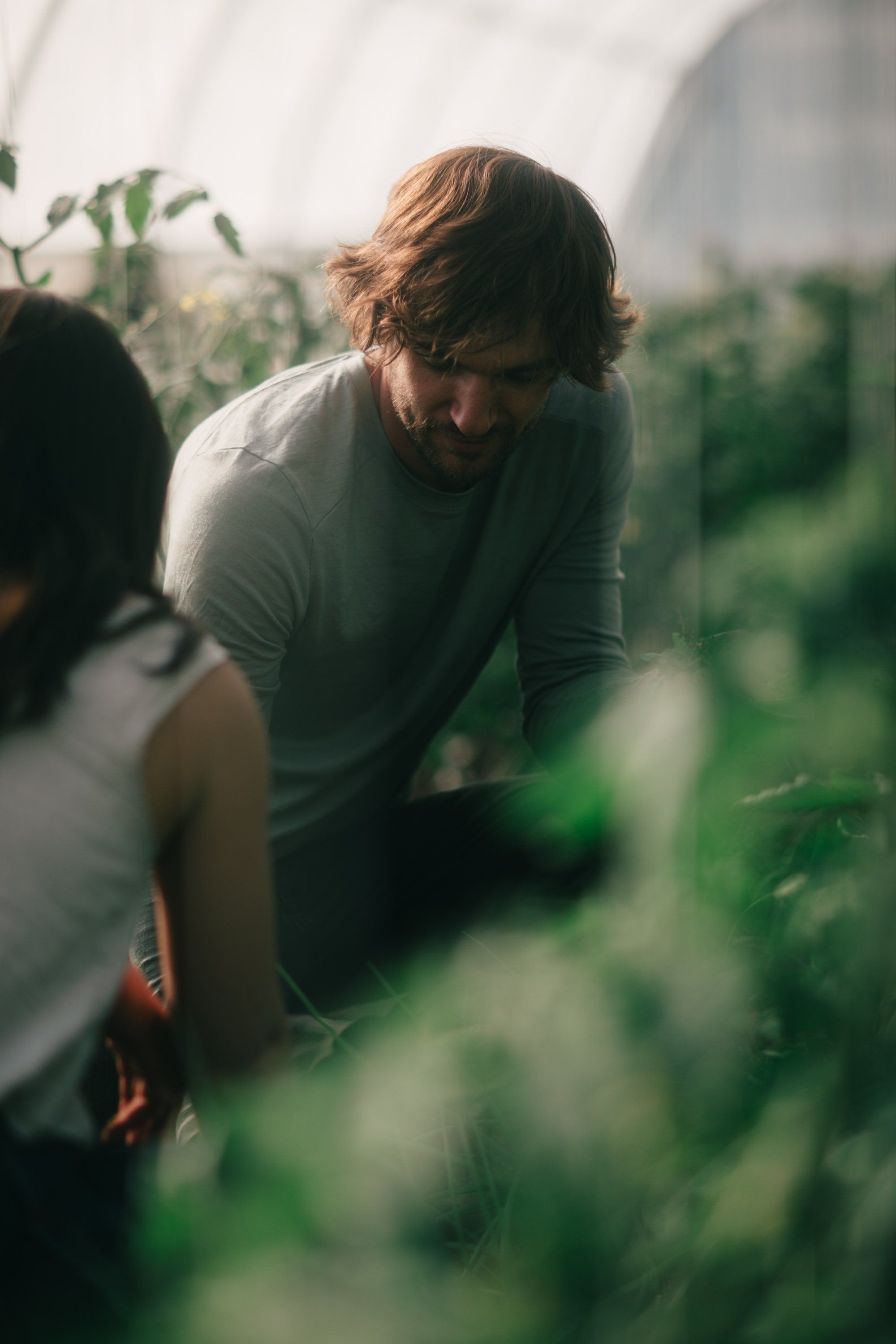 Bearded man in soft green shirt leans over lush plants in a sunlit greenhouse, surrounded by verdant foliage