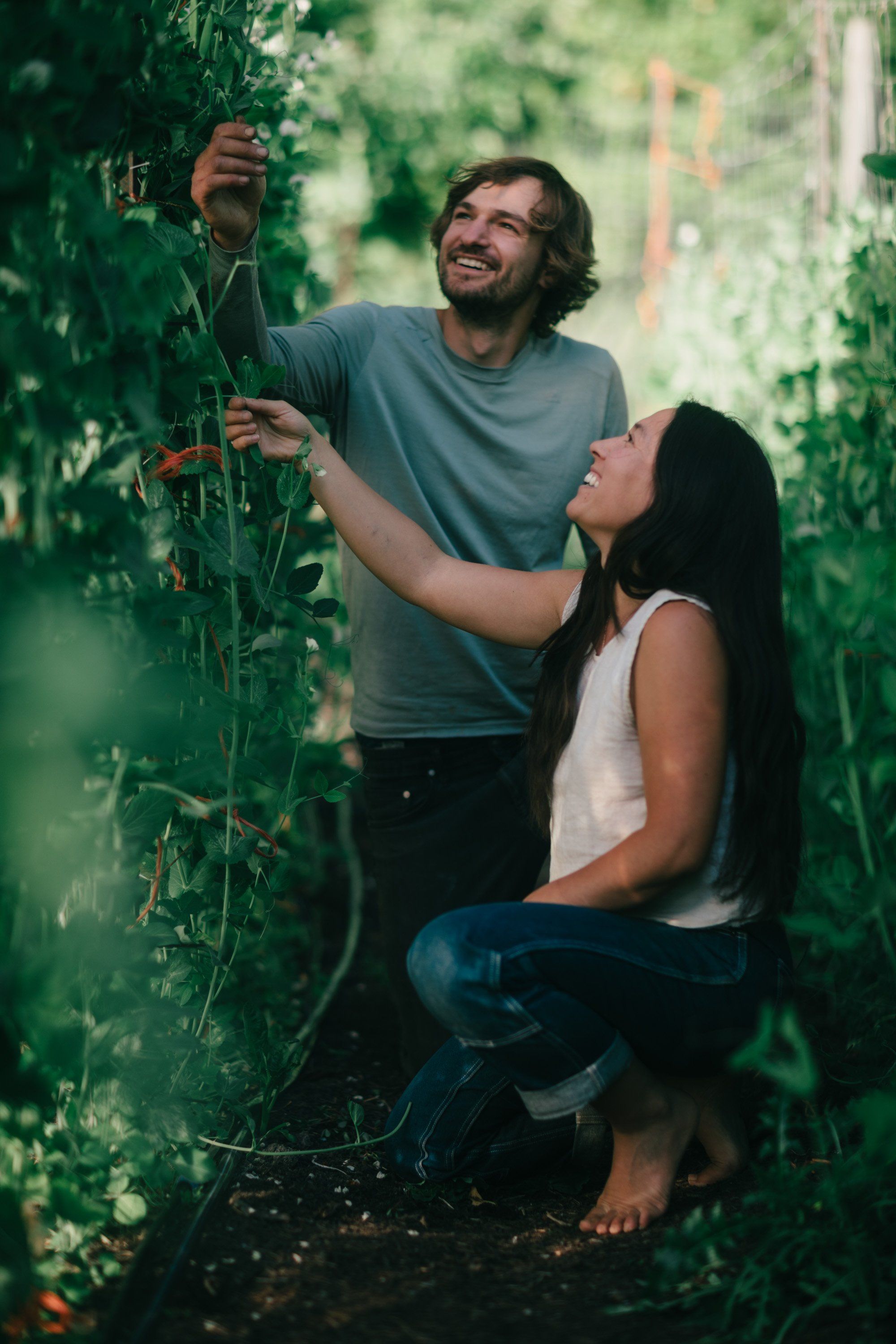 Couple examines green climbing vines in dappled garden light, man smiling while woman gazes upward at foliage