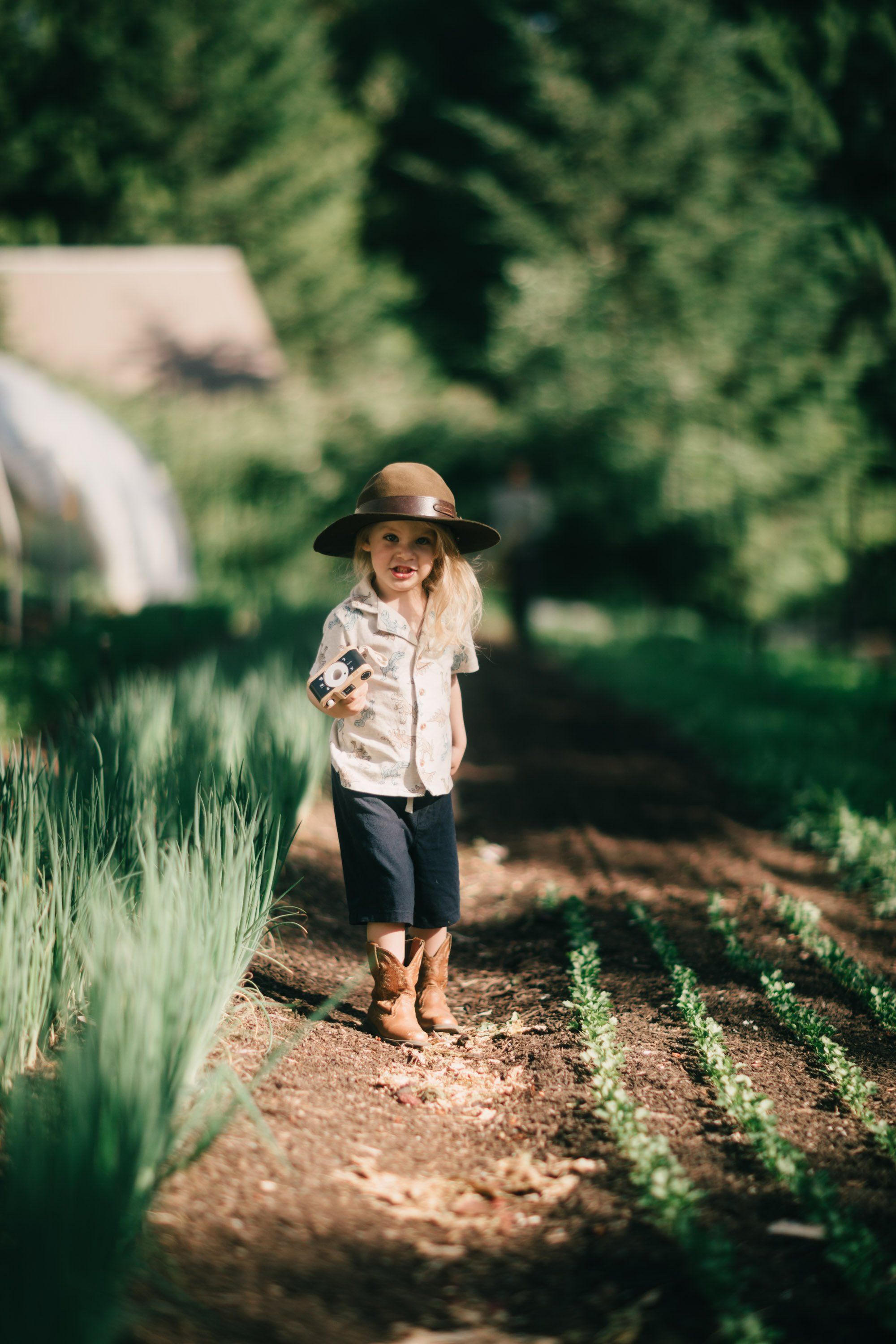 Child in straw hat walking down garden path lined with young vegetable plants and sage, dappled sunlight through towering evergreens