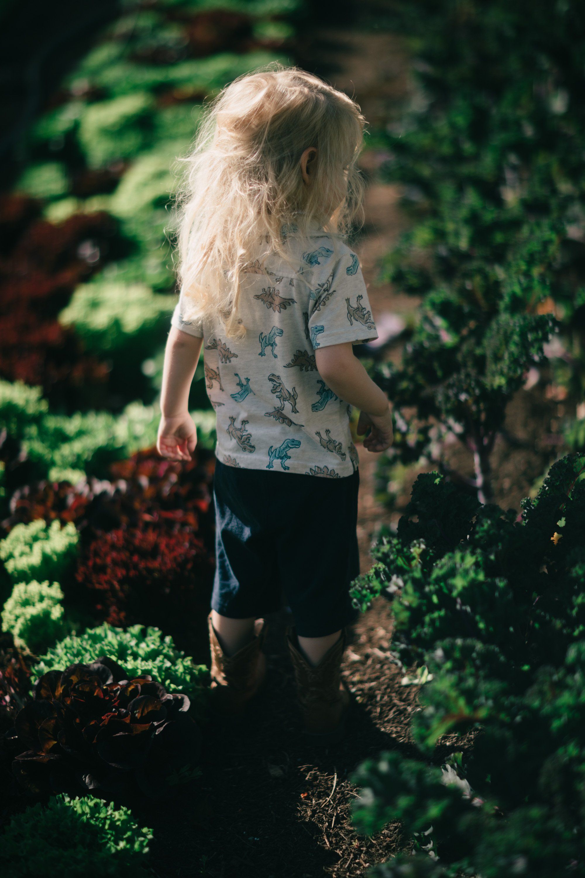 Child with blonde hair walking through lush garden rows, dappled sunlight filtering through foliage overhead