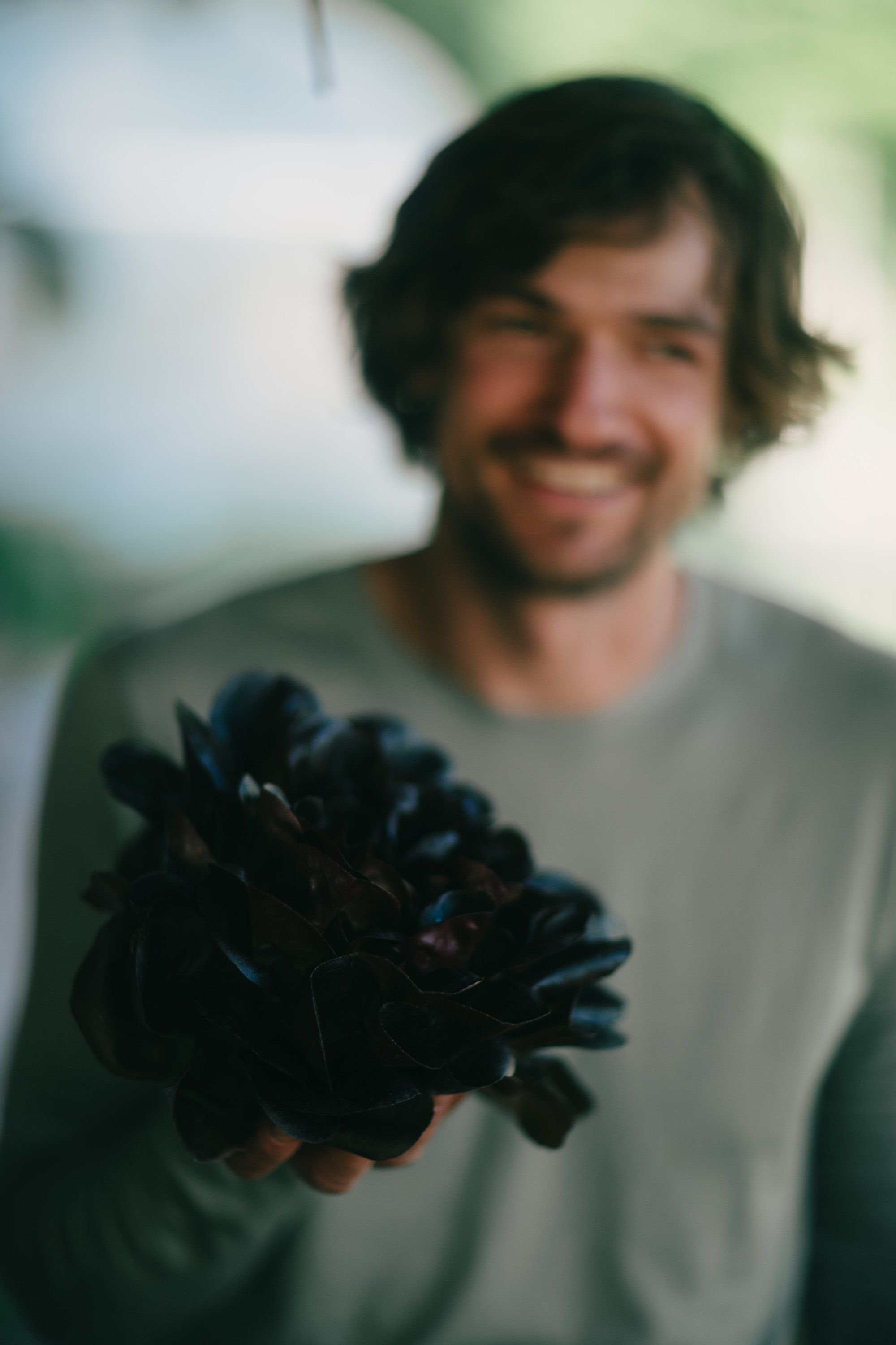 Smiling man in gray shirt holds dark blue flowers toward camera in soft, blurred natural light