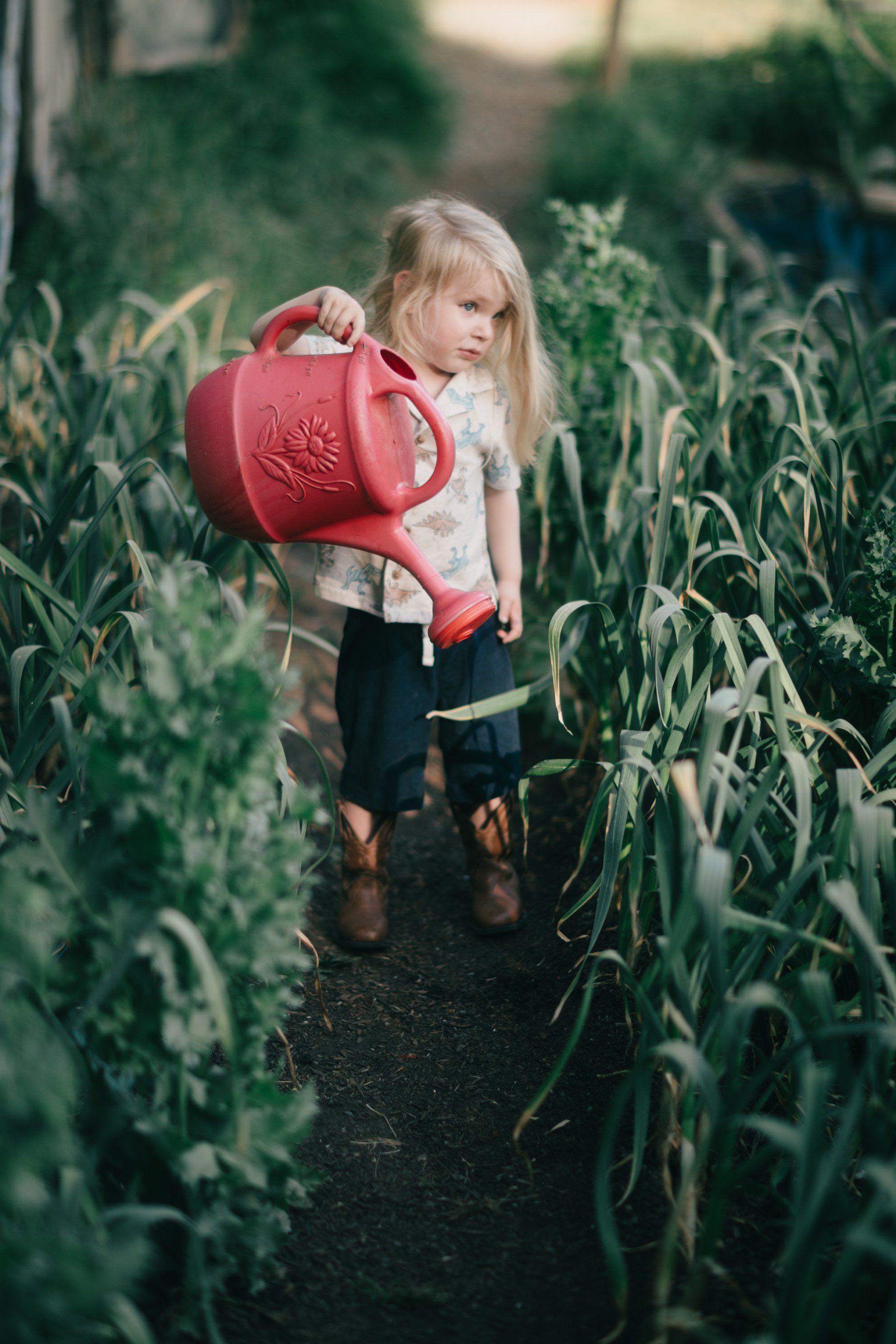 Young child in red boxing gloves stands amid tall green corn stalks in soft natural light