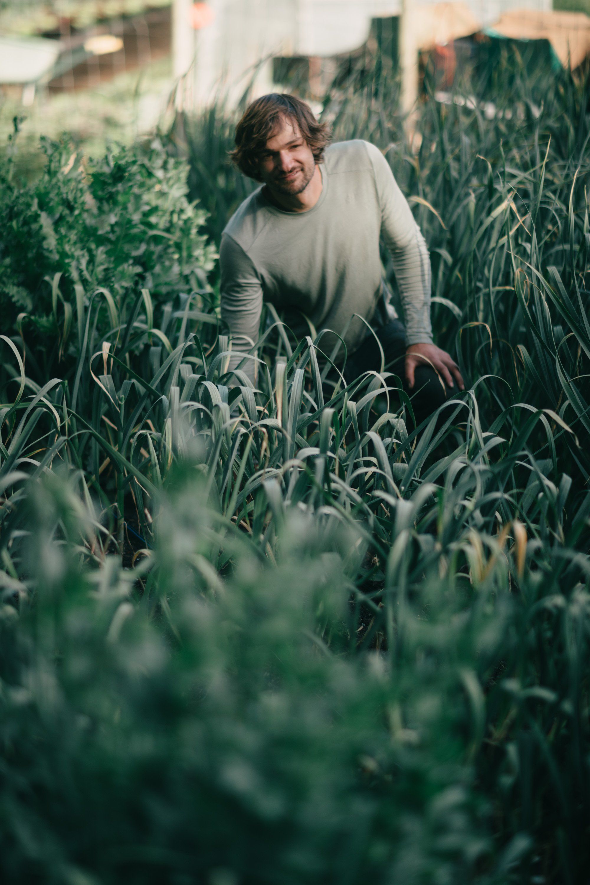 Man in cream sweater bending through lush green vegetable garden rows in golden afternoon light
