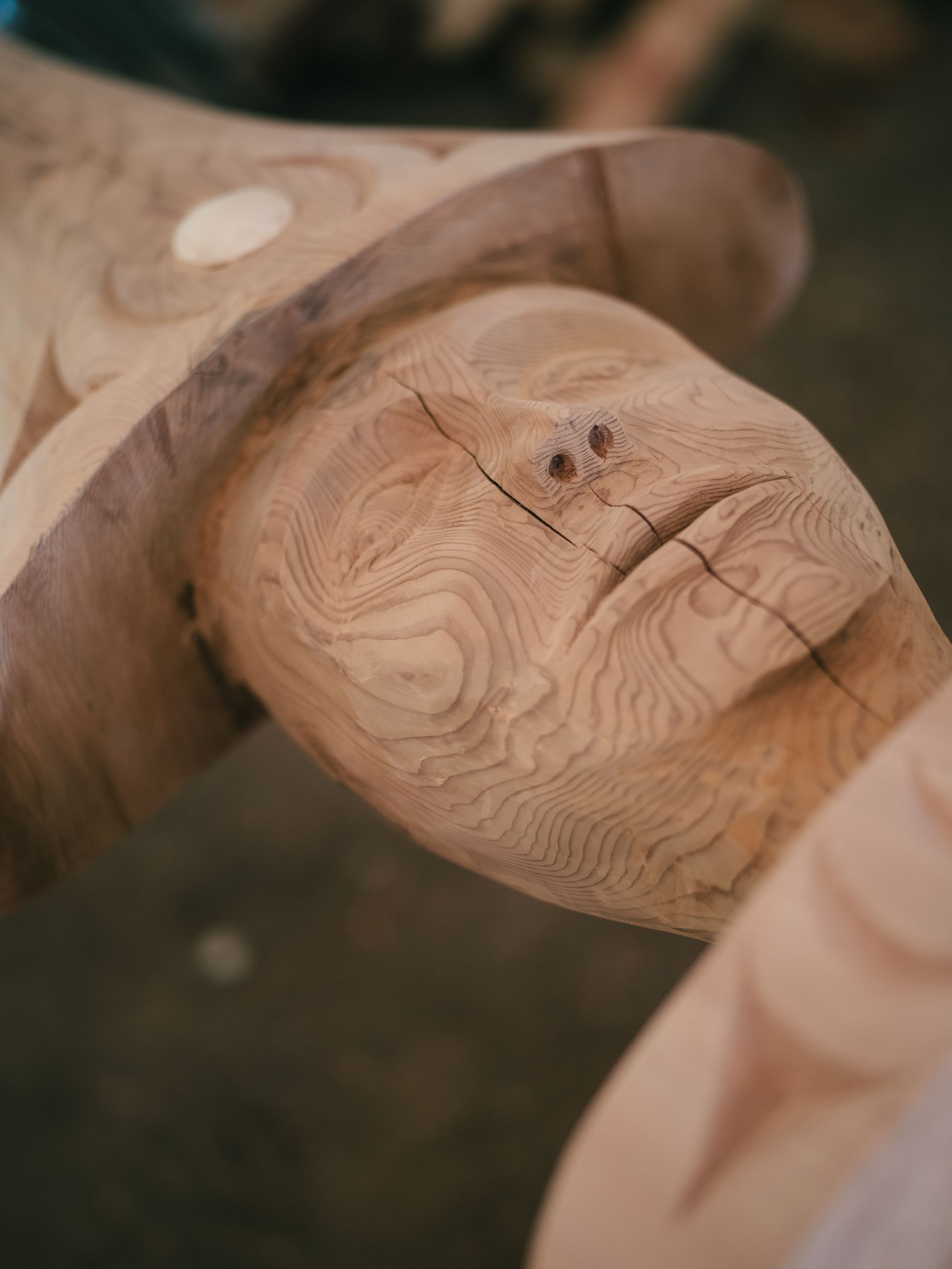 Coast Salish carver reading the grain of a cedar canoe