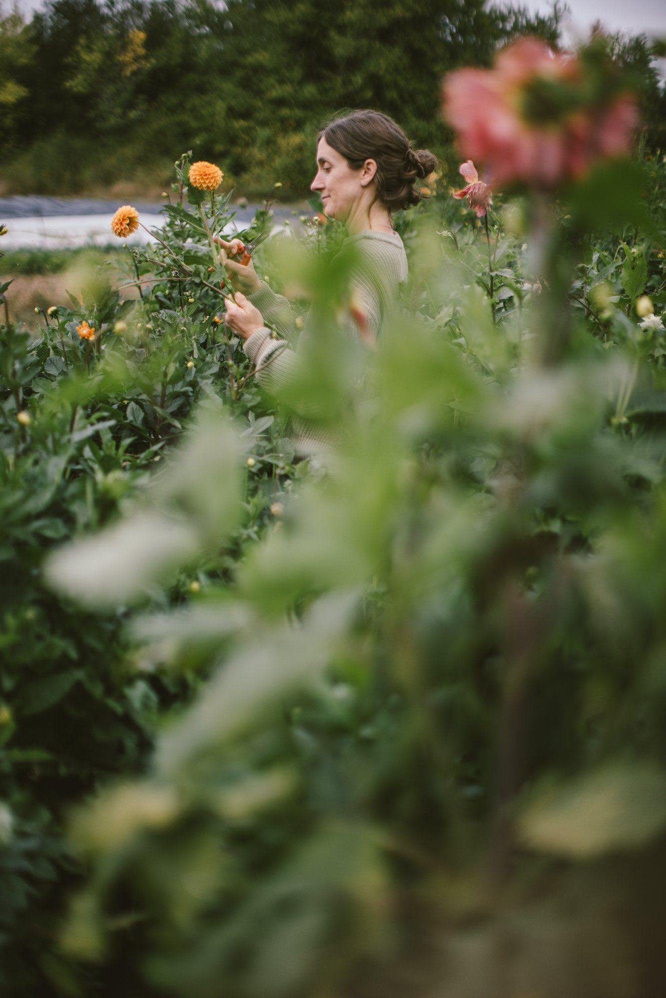 Woman among blooming flowers at Bullock Lake Farm, soft natural light filtering through green foliage