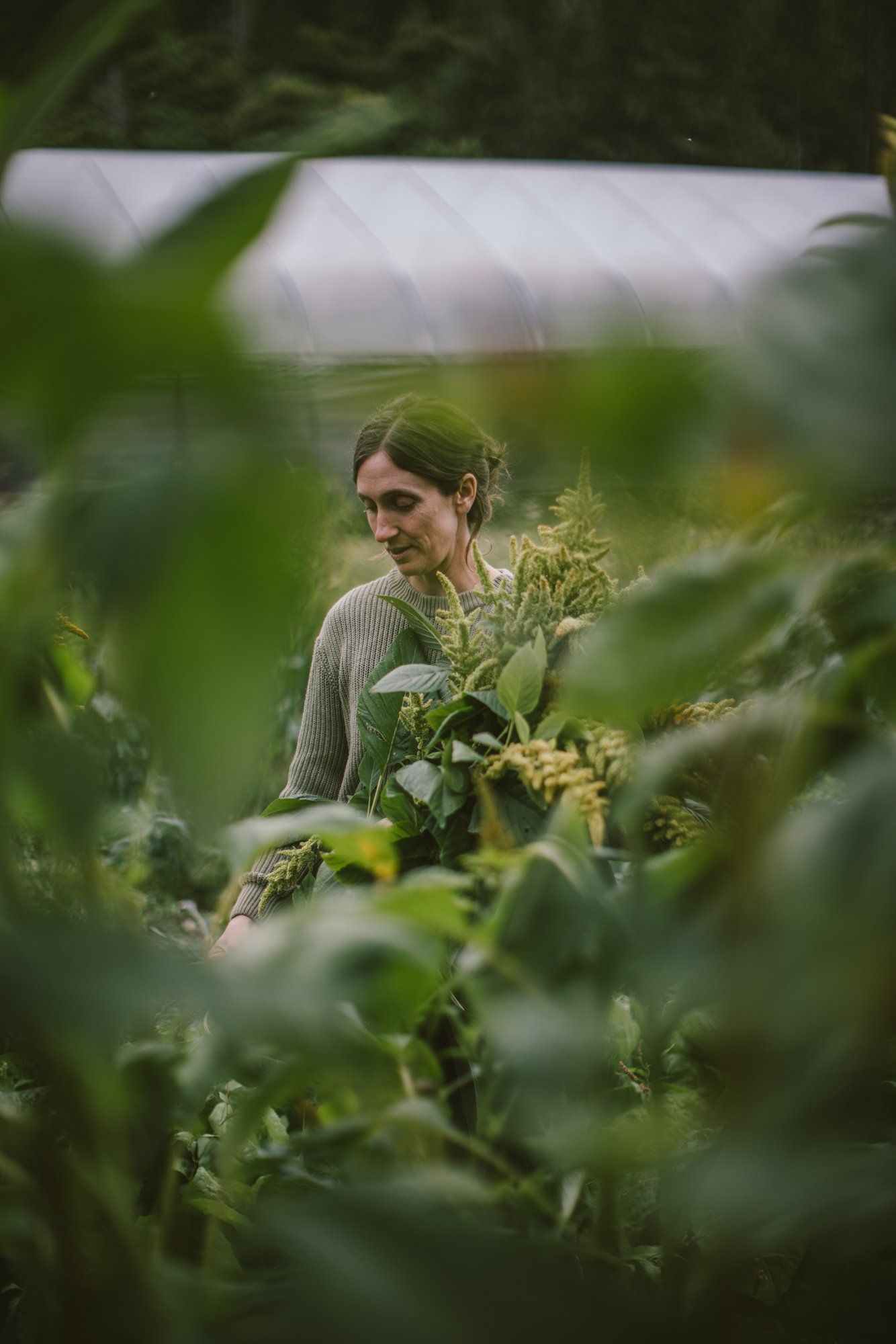Woman in gray shirt among lush green plants in a farm greenhouse, soft natural light filtering through foliage