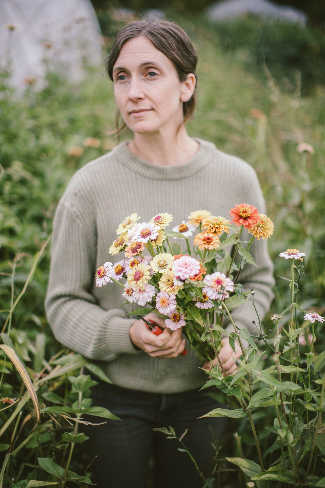 Woman holding freshly cut dahlias in a garden setting at golden hour, surrounded by blooming flowers
