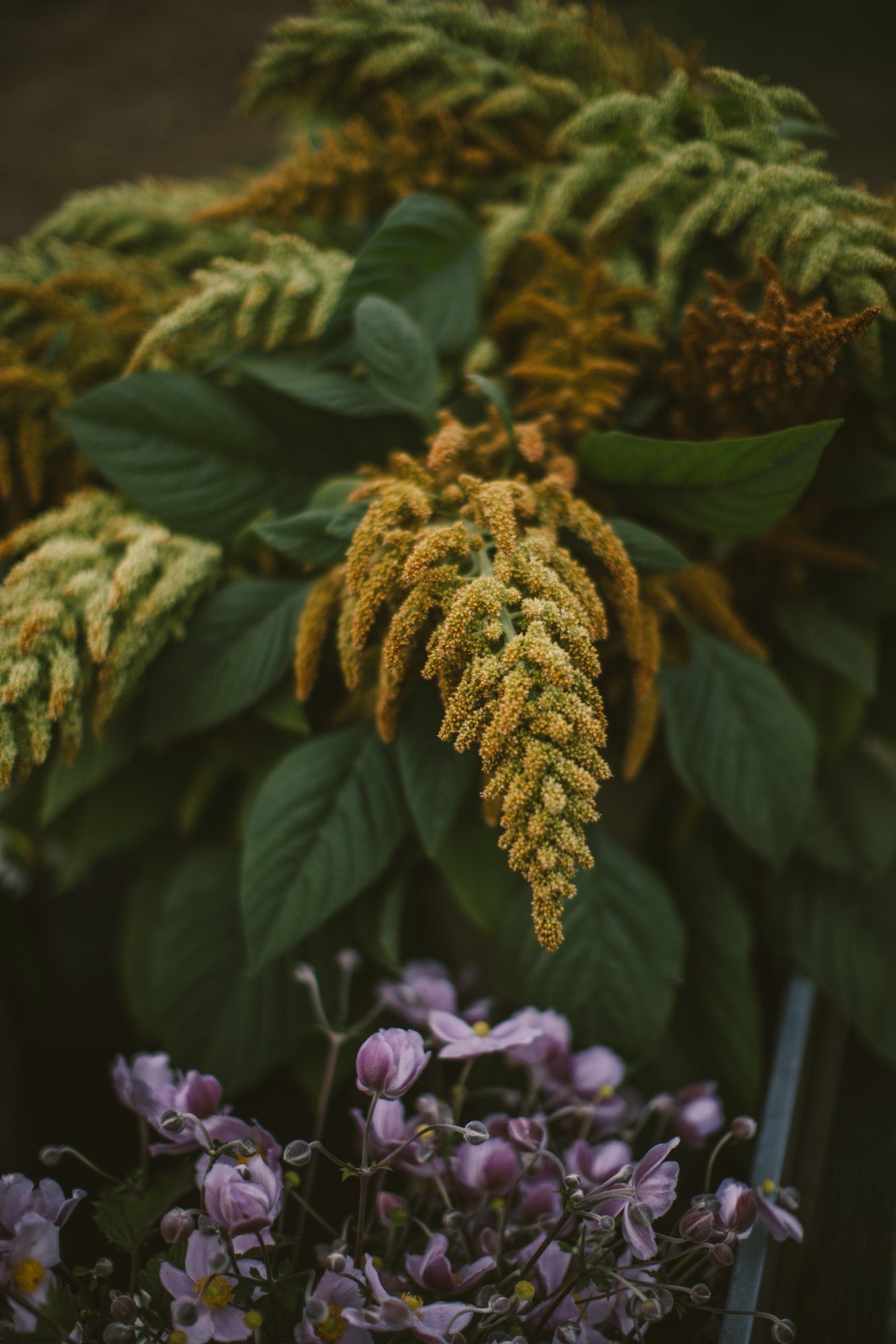 Golden catkins and purple flowers in soft natural light with deep green foliage