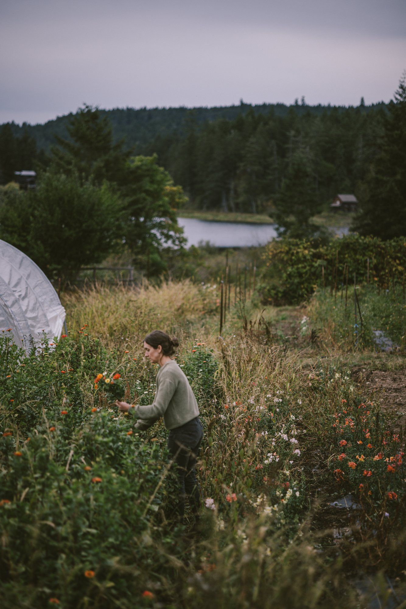 Person harvesting vegetables in overgrown garden with lake and forested hills beyond under overcast sky