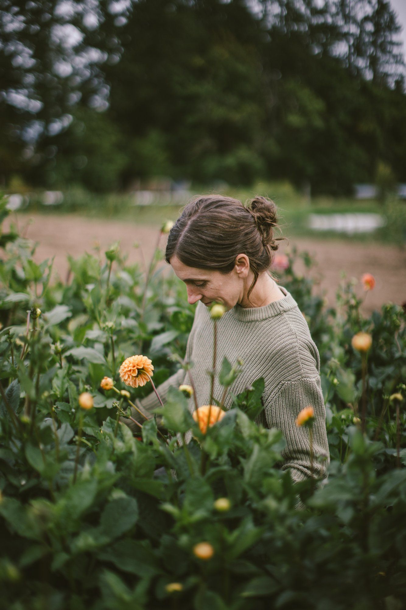 Woman in cream sweater bends among golden calendula blooms in a sprawling farm field under soft overcast light