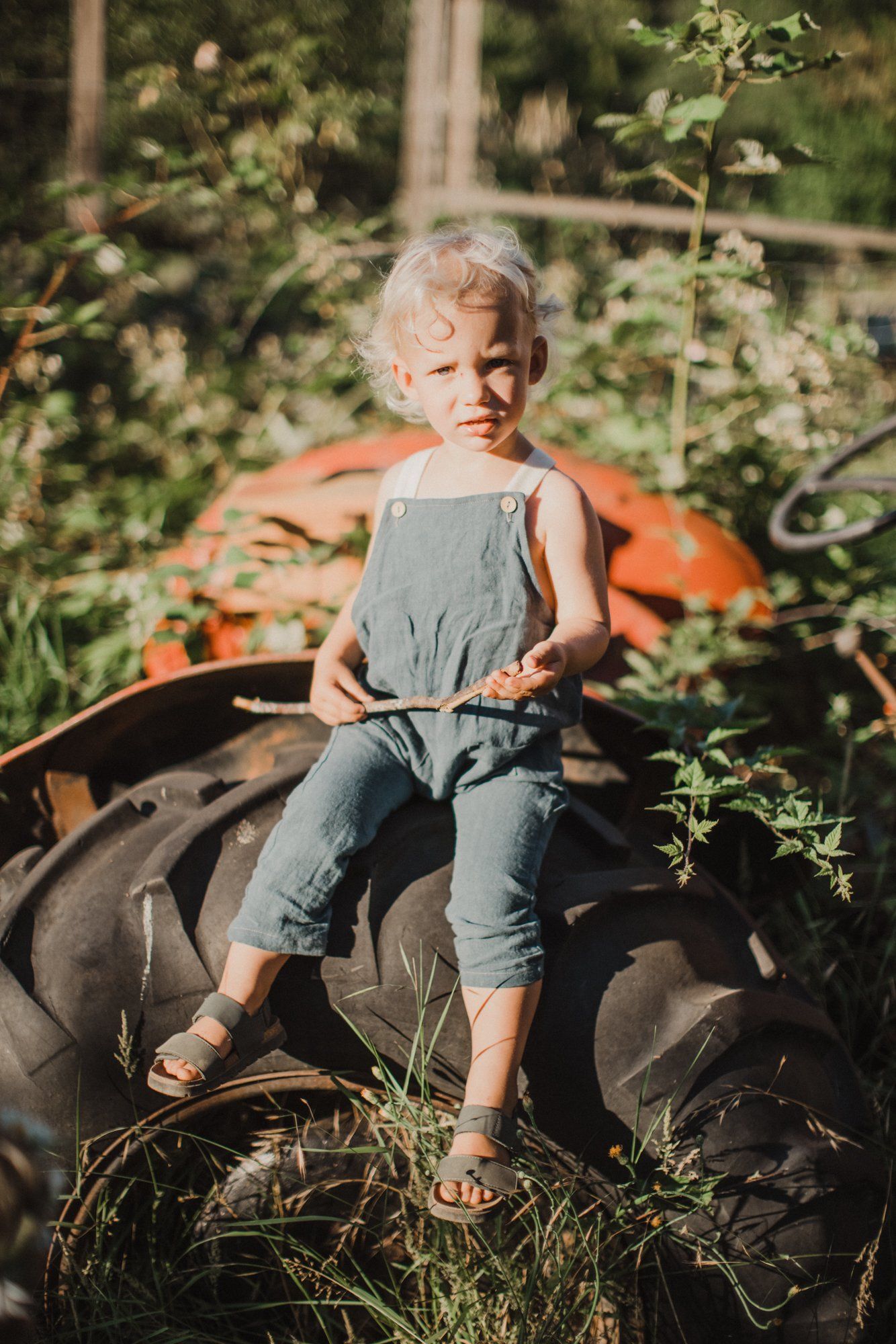 Blonde toddler in gray tank top sits on weathered tire in overgrown garden, golden afternoon light filtering through green foliage behind