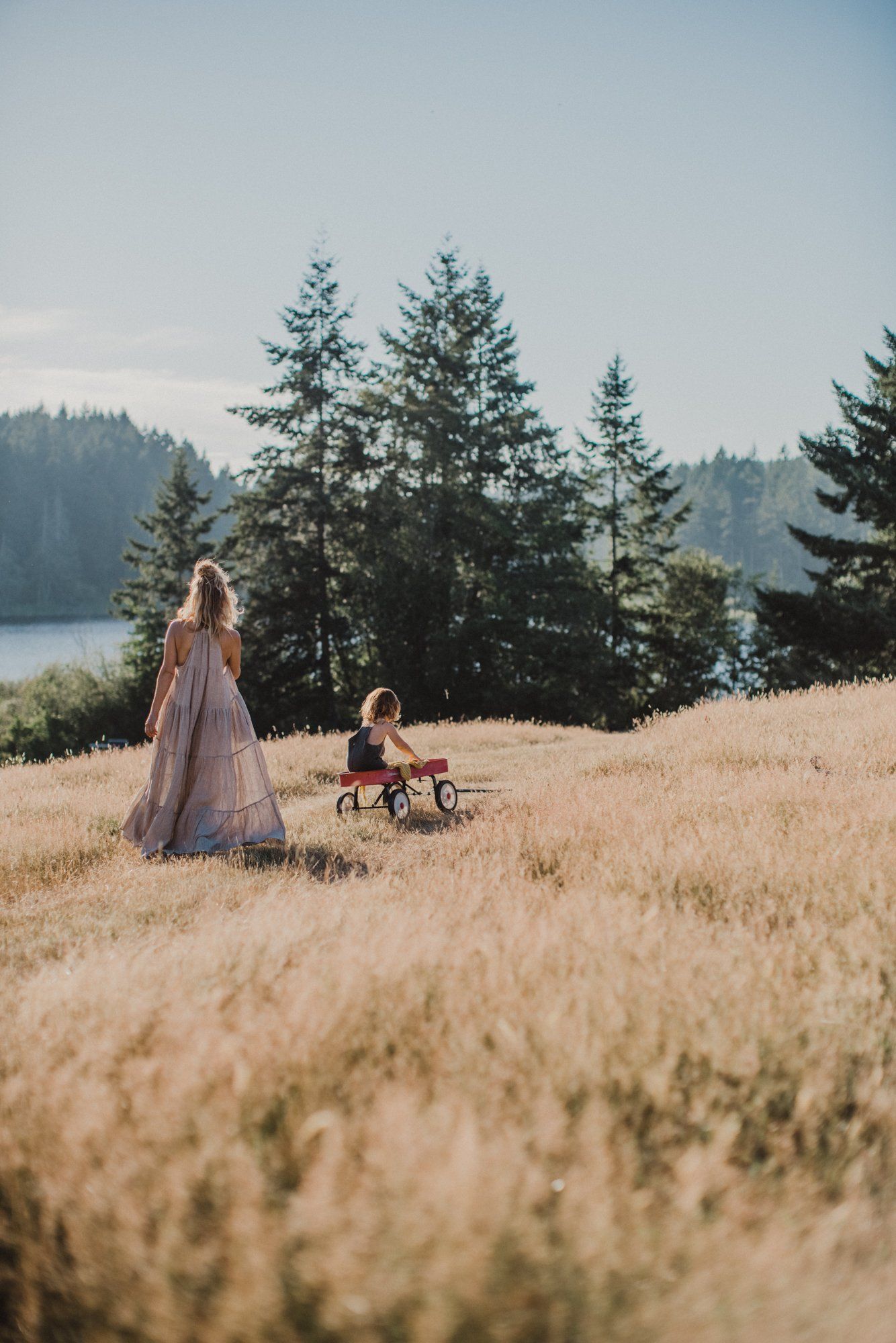 Woman in mauve gown stands with child on tricycle in golden field, evergreens and lake beyond