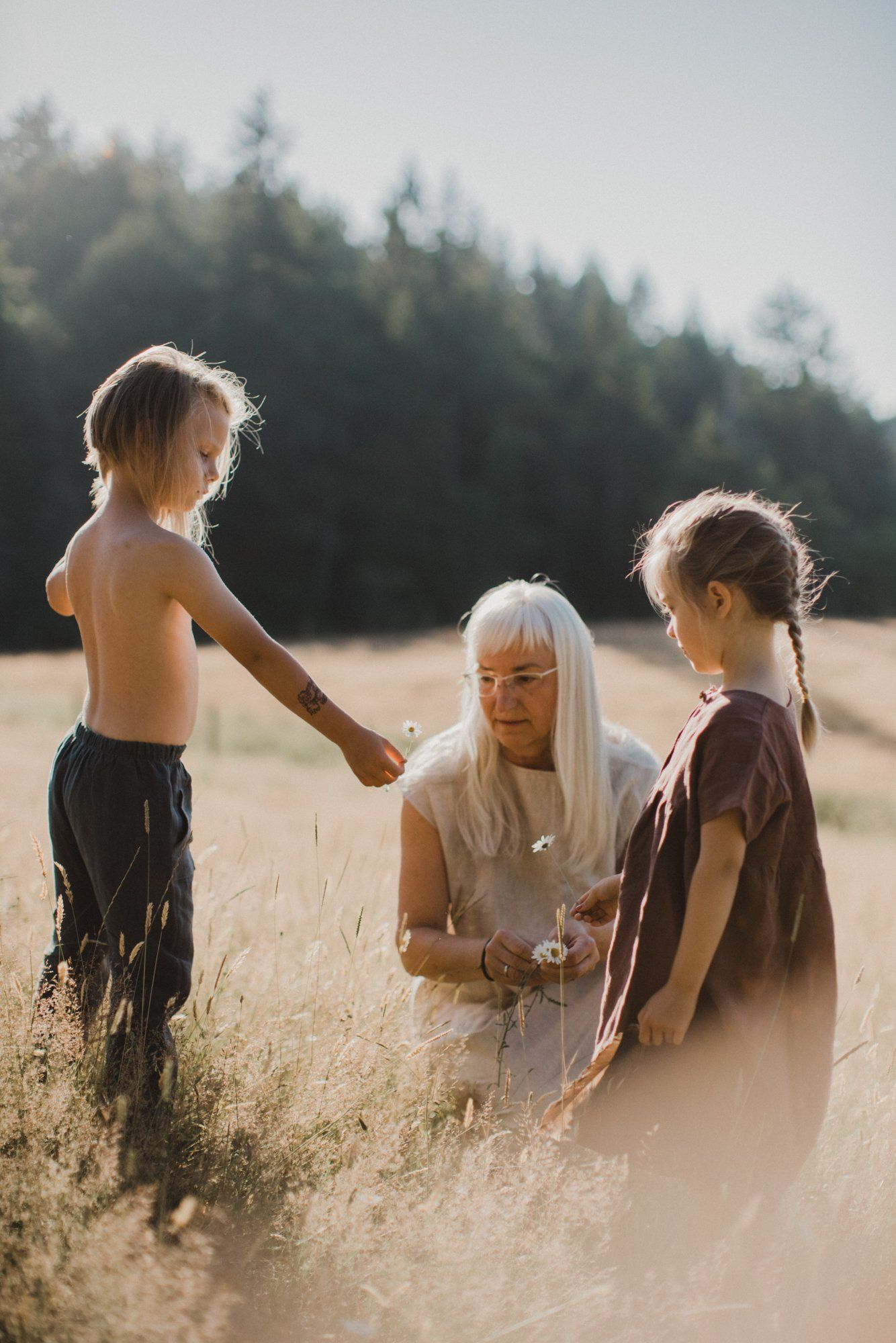 Three children in a sun-drenched grain field with evergreen forest backdrop, golden hour light creating ethereal atmosphere