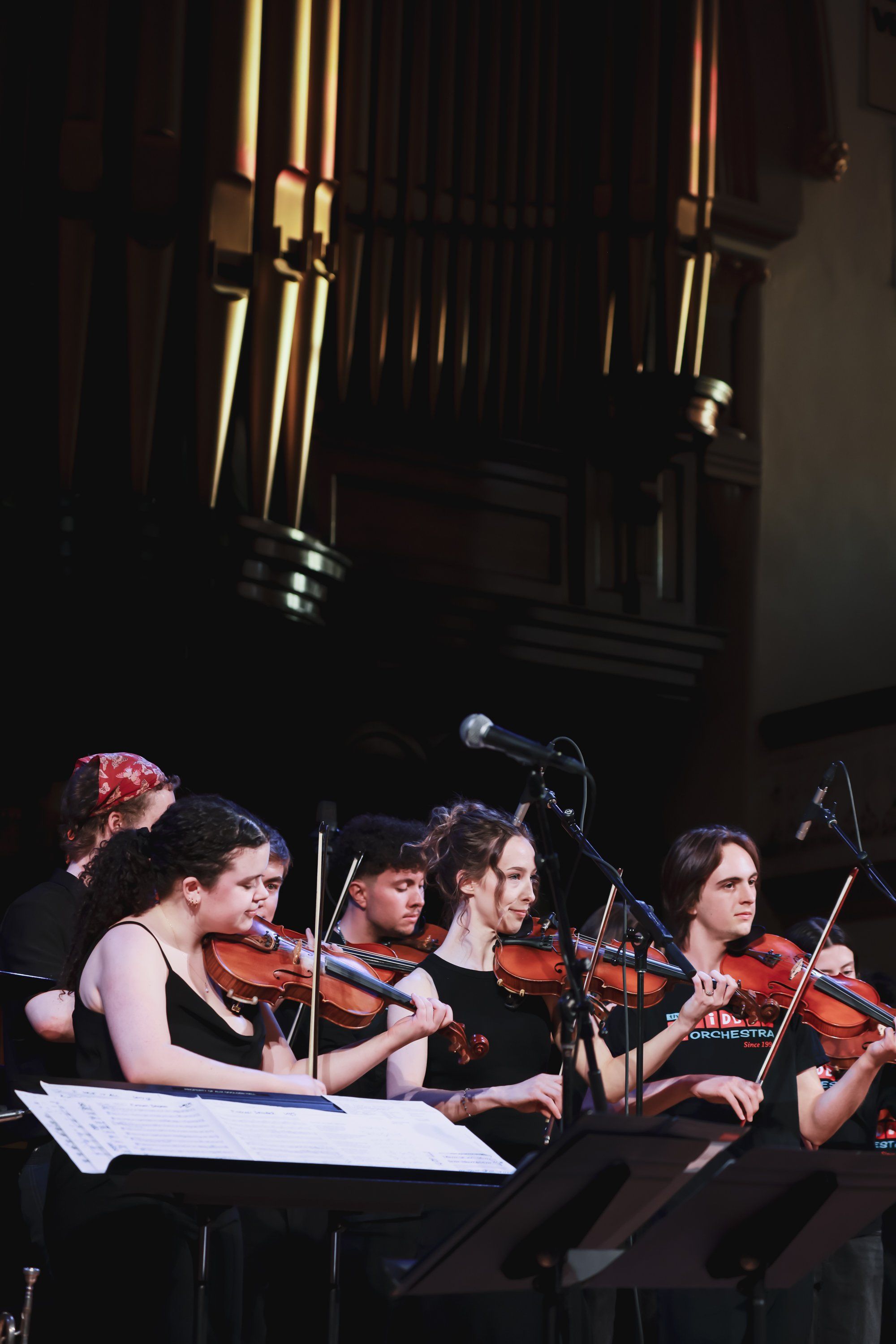 Five string musicians perform under warm organ pipes, reading sheet music at their stands during an indoor concert