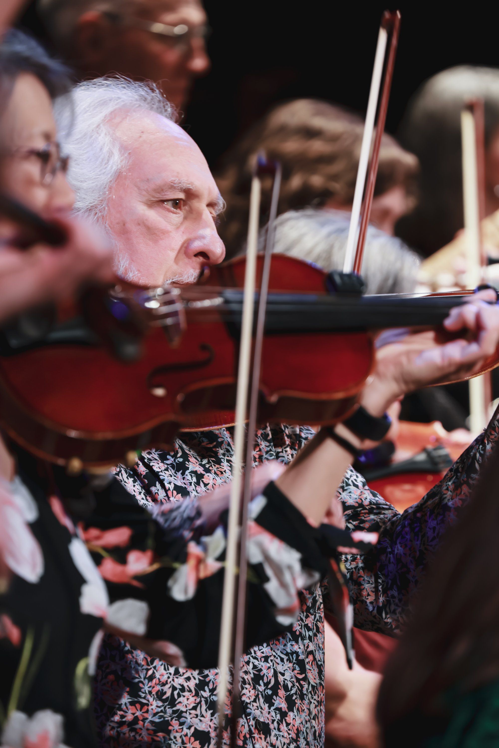 Elderly violinist in profile playing with focused expression, wearing patterned dark clothing, with orchestra members softly blurred behind in warm stage lig…