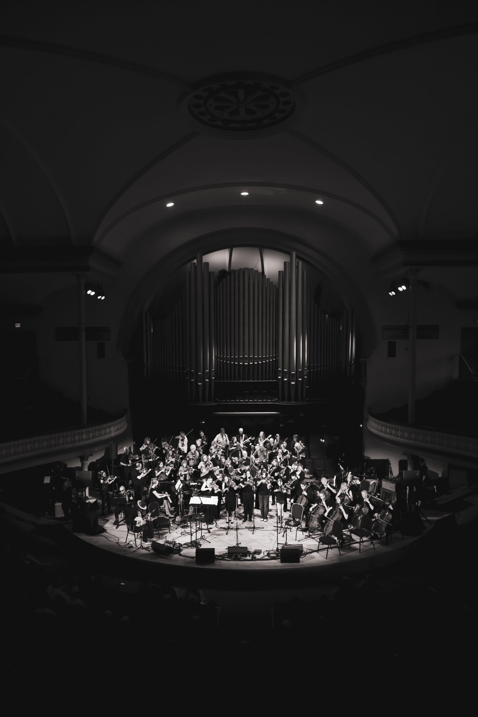 Orchestra performing in a grand concert hall with dramatic arched ceiling and pipe organ, lit by spotlights in black and white