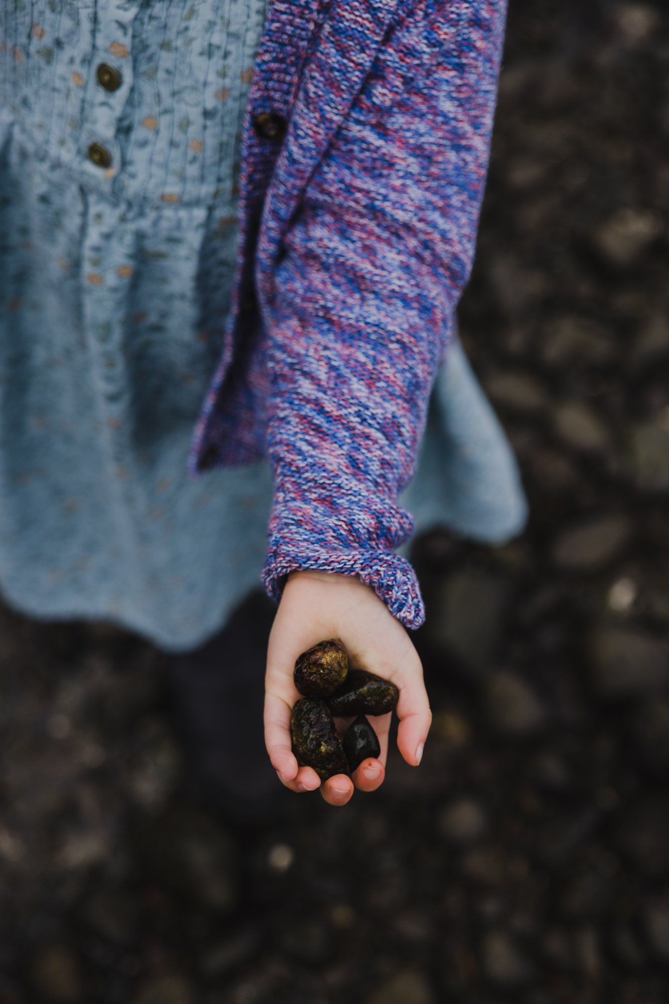 Child's open palm holds dark soil against purple knit sleeve and soft blue cardigan in earthy outdoor setting