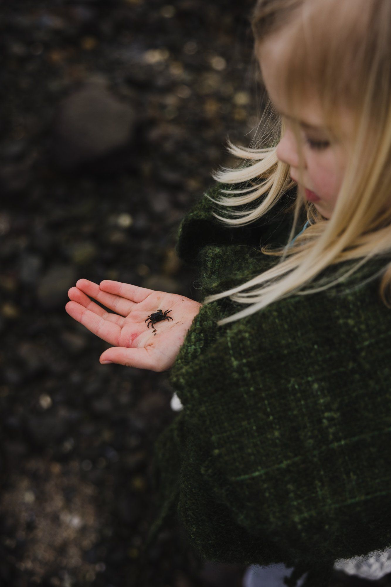 Young girl with blonde hair holds a small insect in her open palm, wearing a dark green sweater outdoors