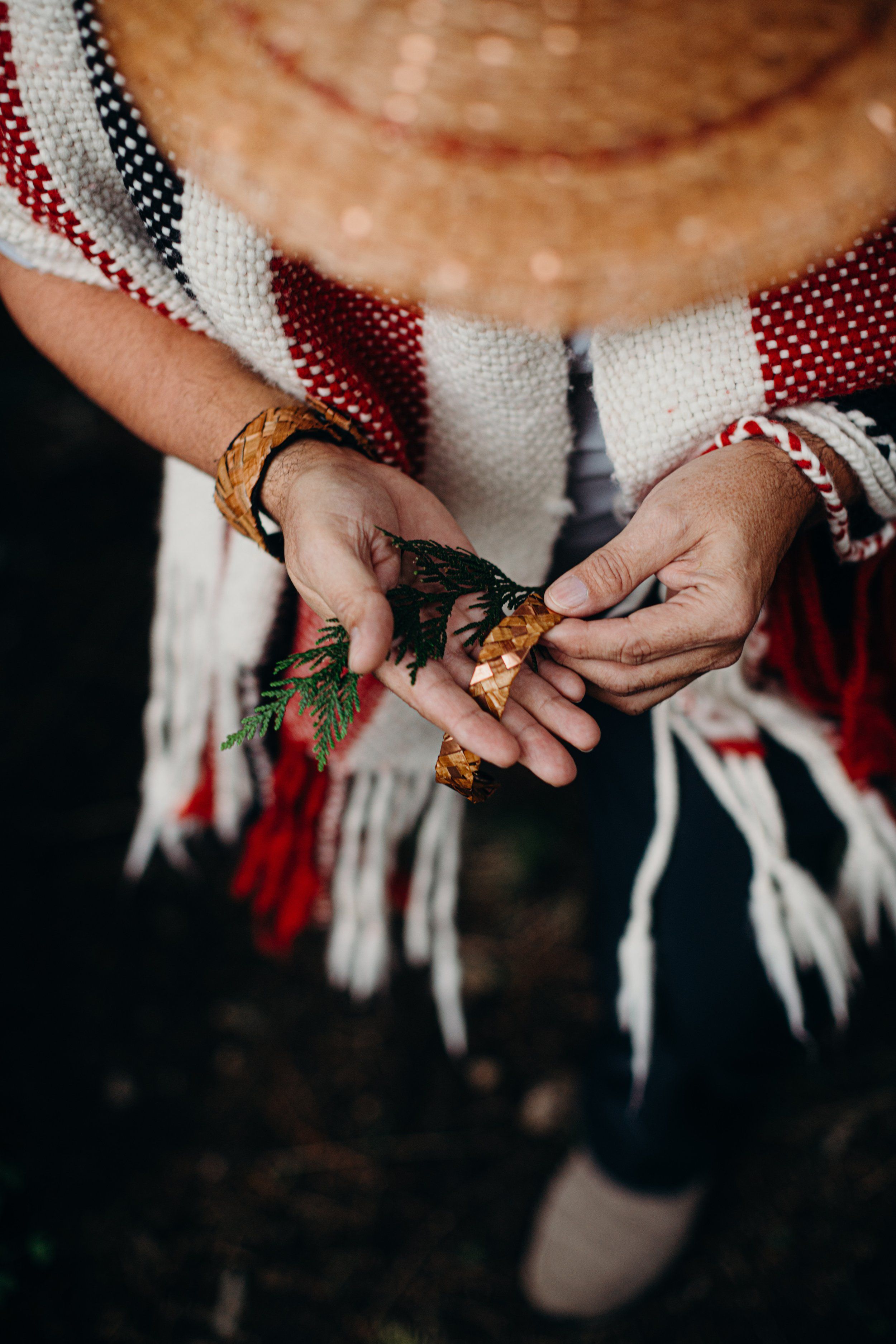 Hands holding evergreen sprigs and birch bark against a red and white plaid shirt on Salt Spring Island
