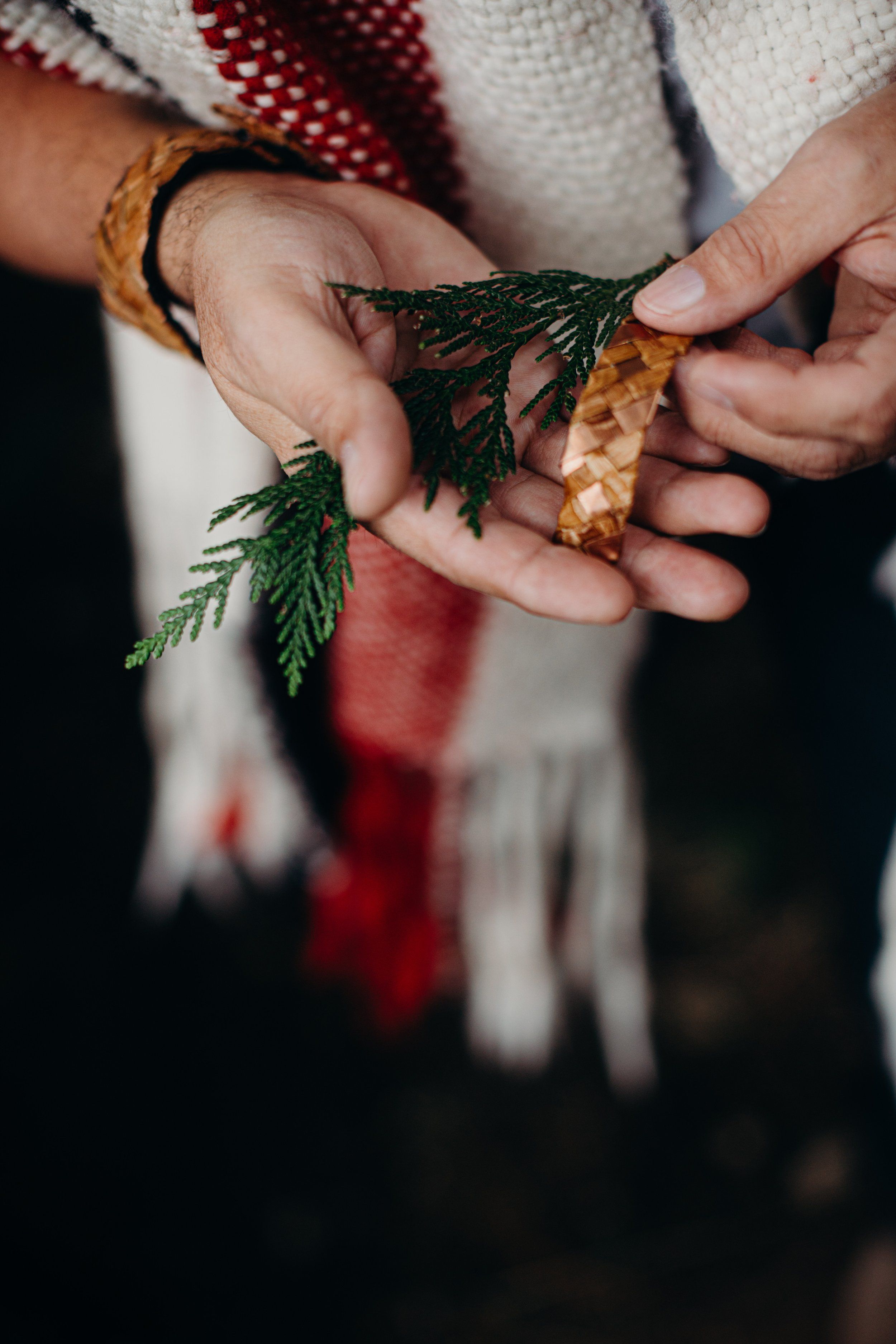 Hands in a striped sweater hold fresh cedar sprigs and bark against a plaid blanket, intimate natural light capturing texture and warmth