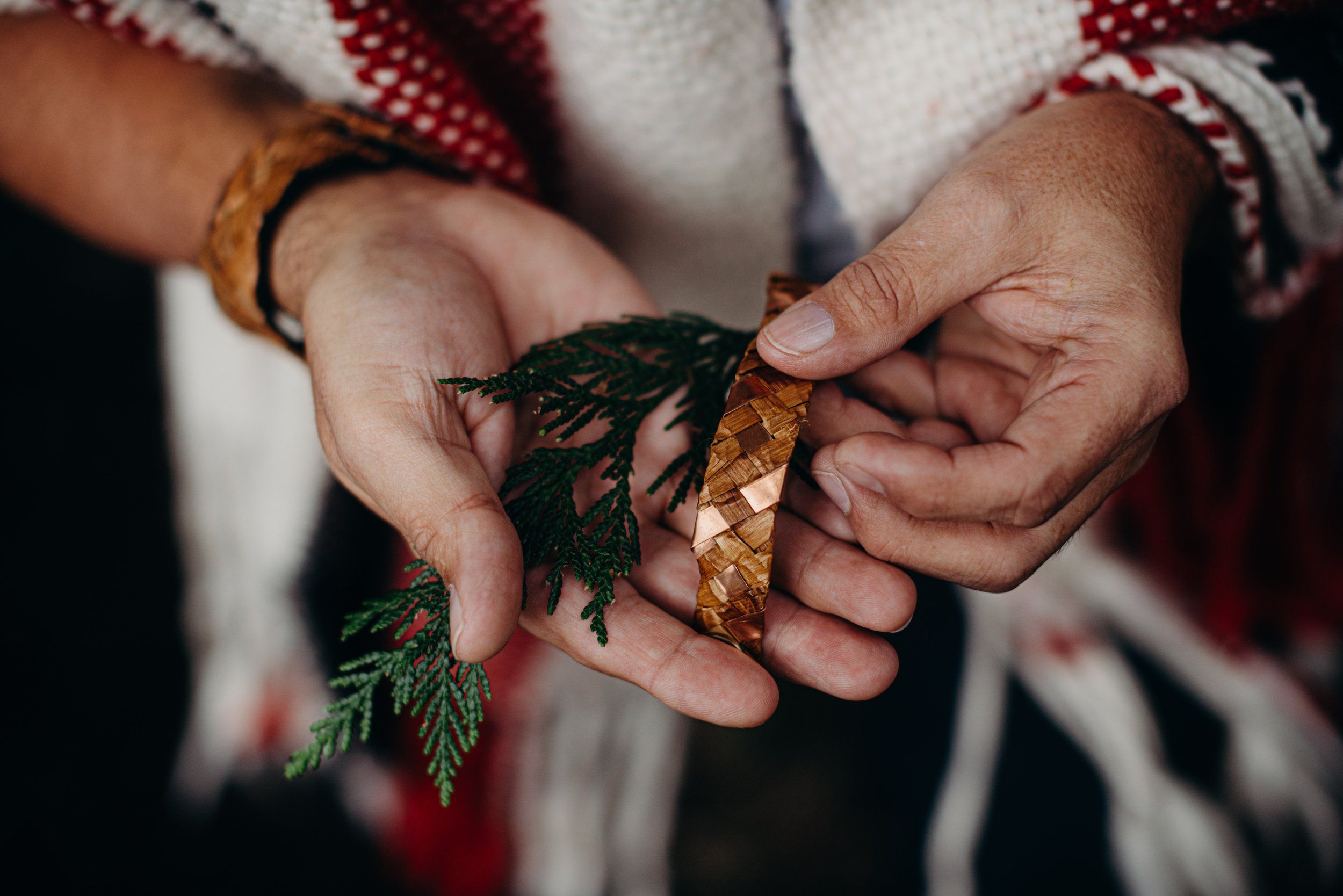 Hands holding fresh evergreen sprigs and dried leaves in natural light, wearing earth-toned clothing and gold jewelry