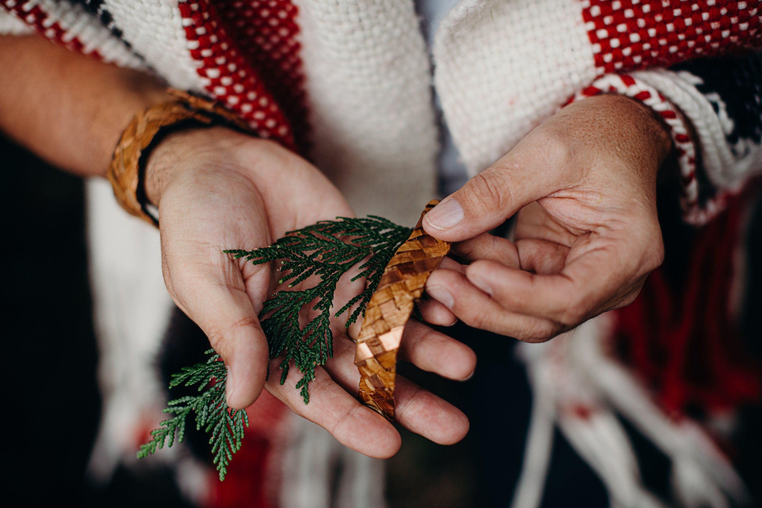 Hands in a red and white plaid shirt hold fresh cedar and dried leaf against dark background, showing natural textures and warm skin tones
