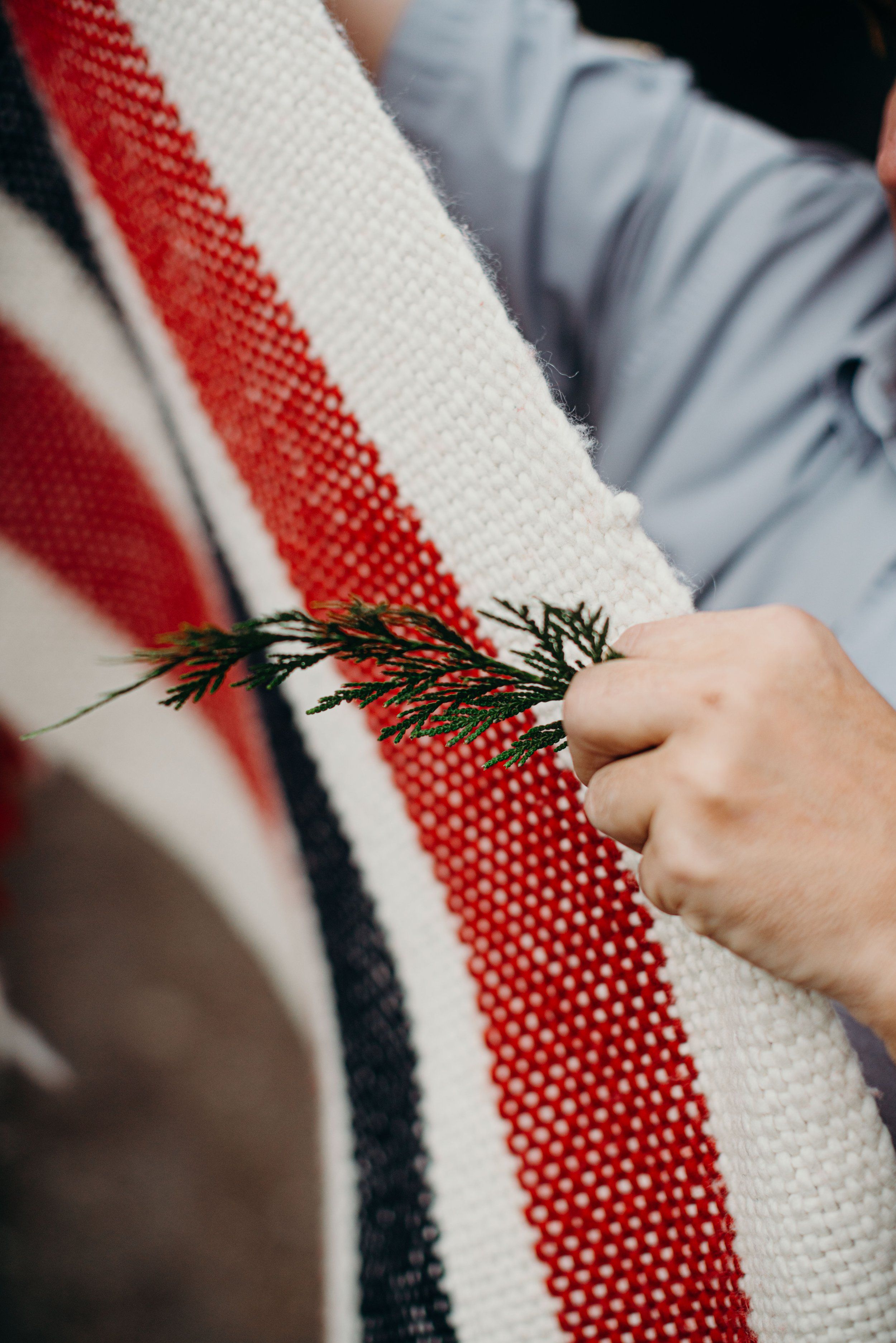 Child's hand grasps spruce sprig against red and white striped fabric in soft natural light