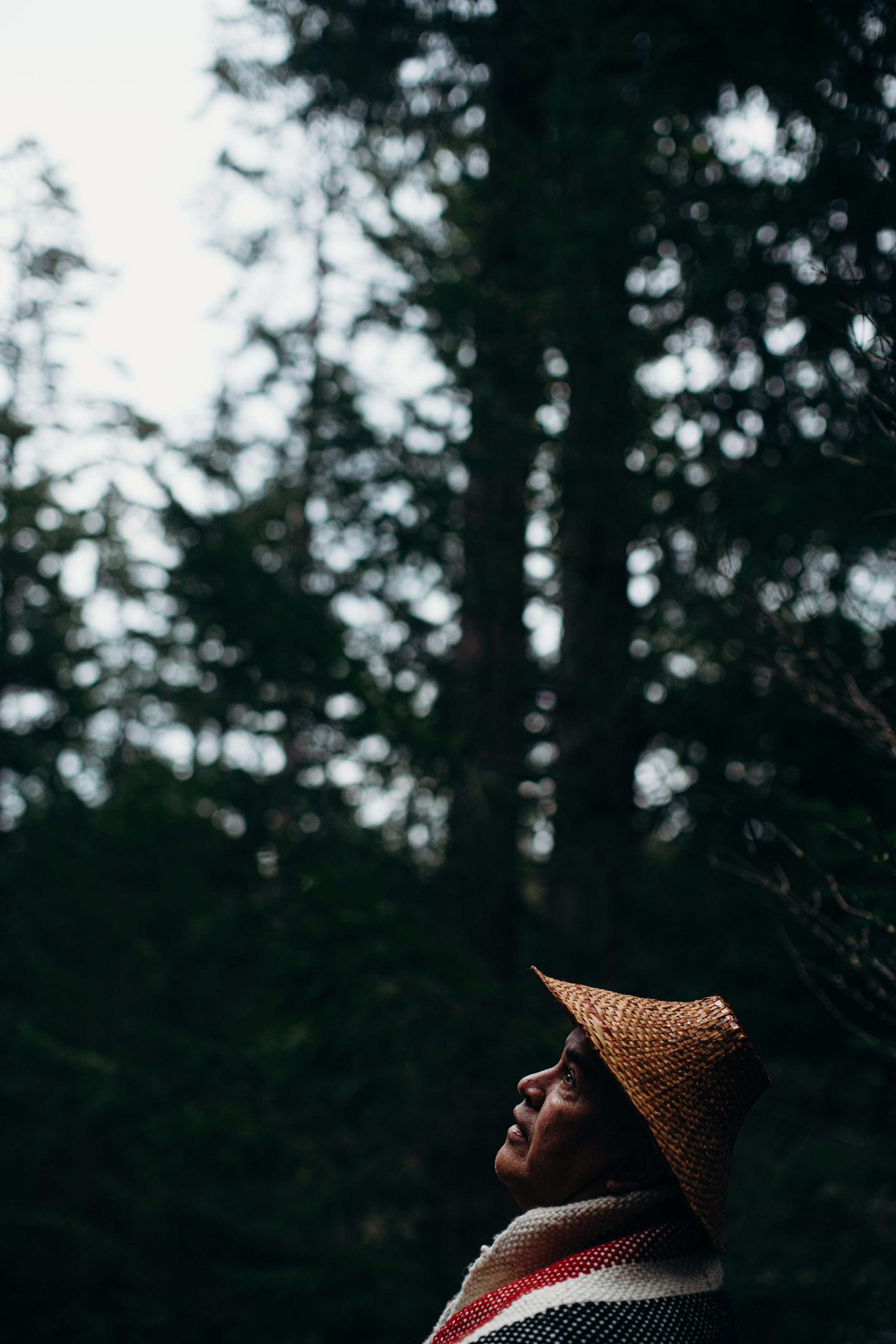 Man in knit hat gazes upward through sunlit forest canopy, wearing red and white striped collar