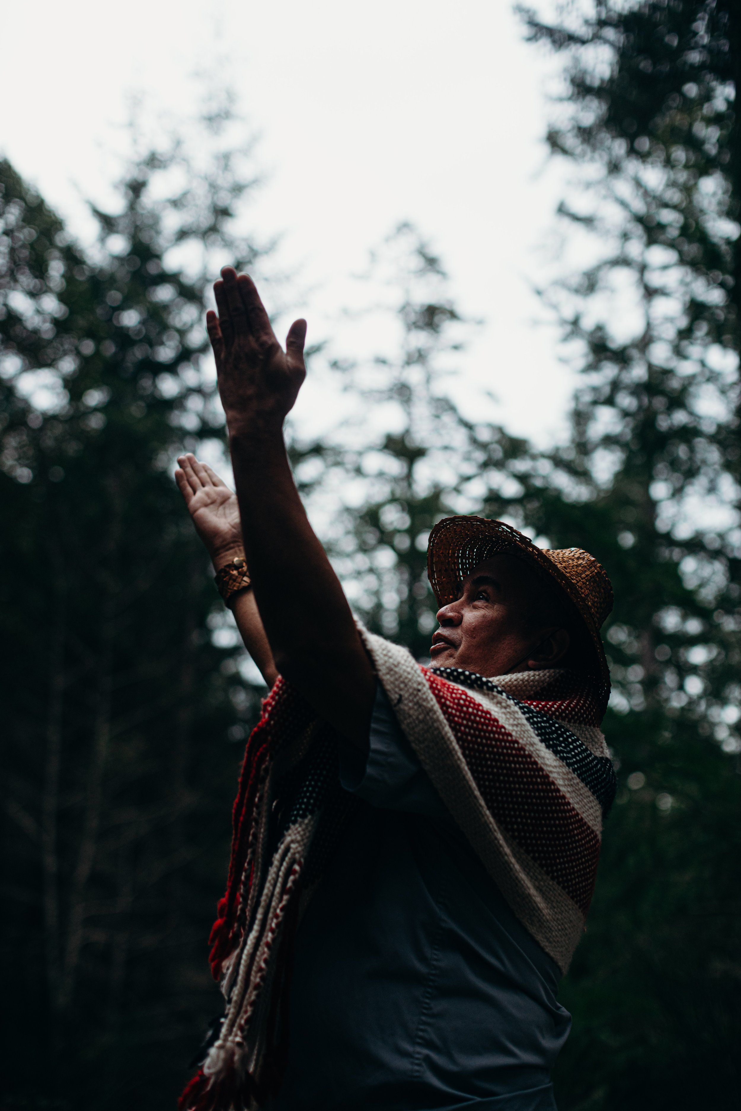 Person in red plaid shirt raising arms toward overcast sky surrounded by tall evergreen trees