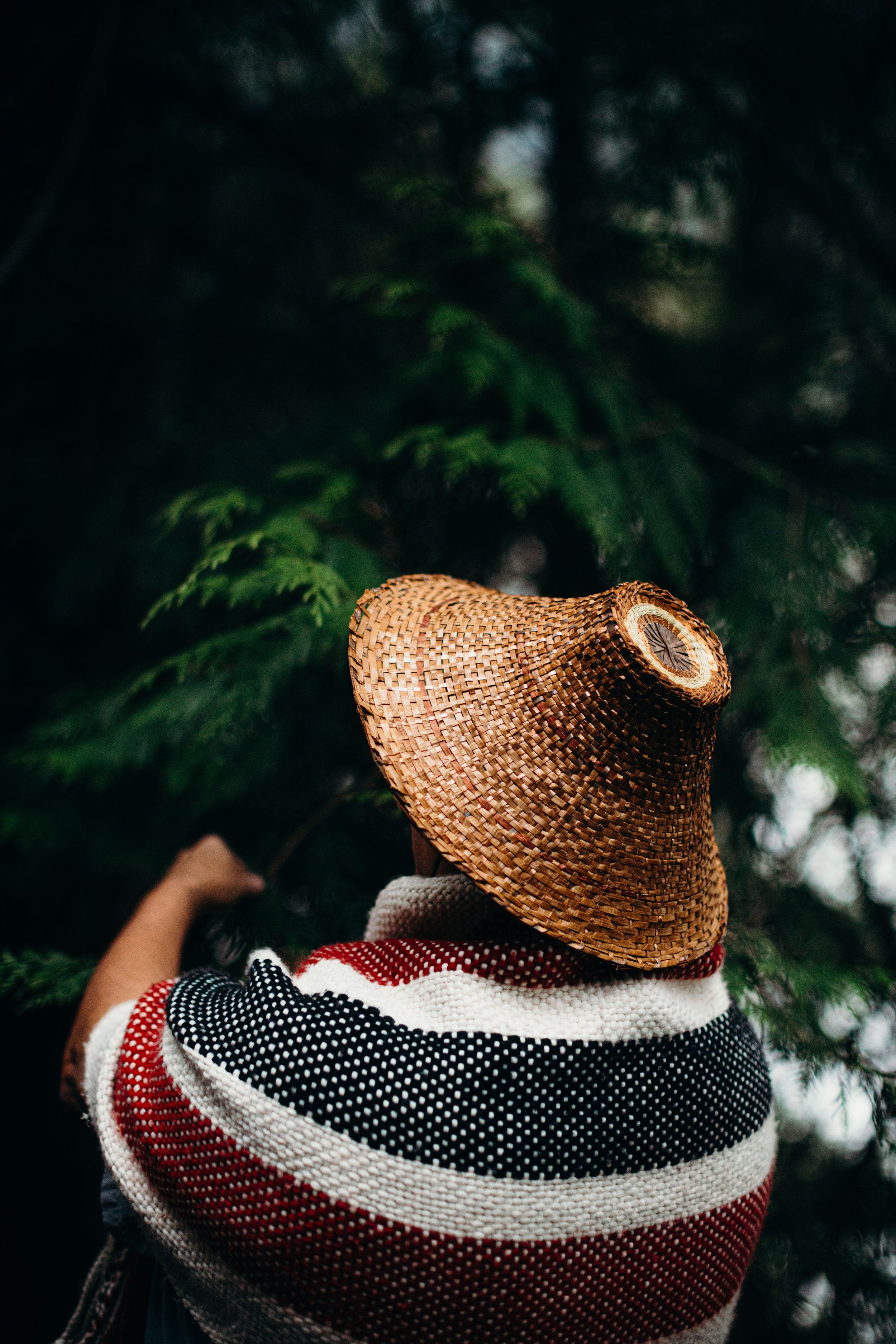 Person wearing straw hat and striped sweater surrounded by dappled forest light and green foliage