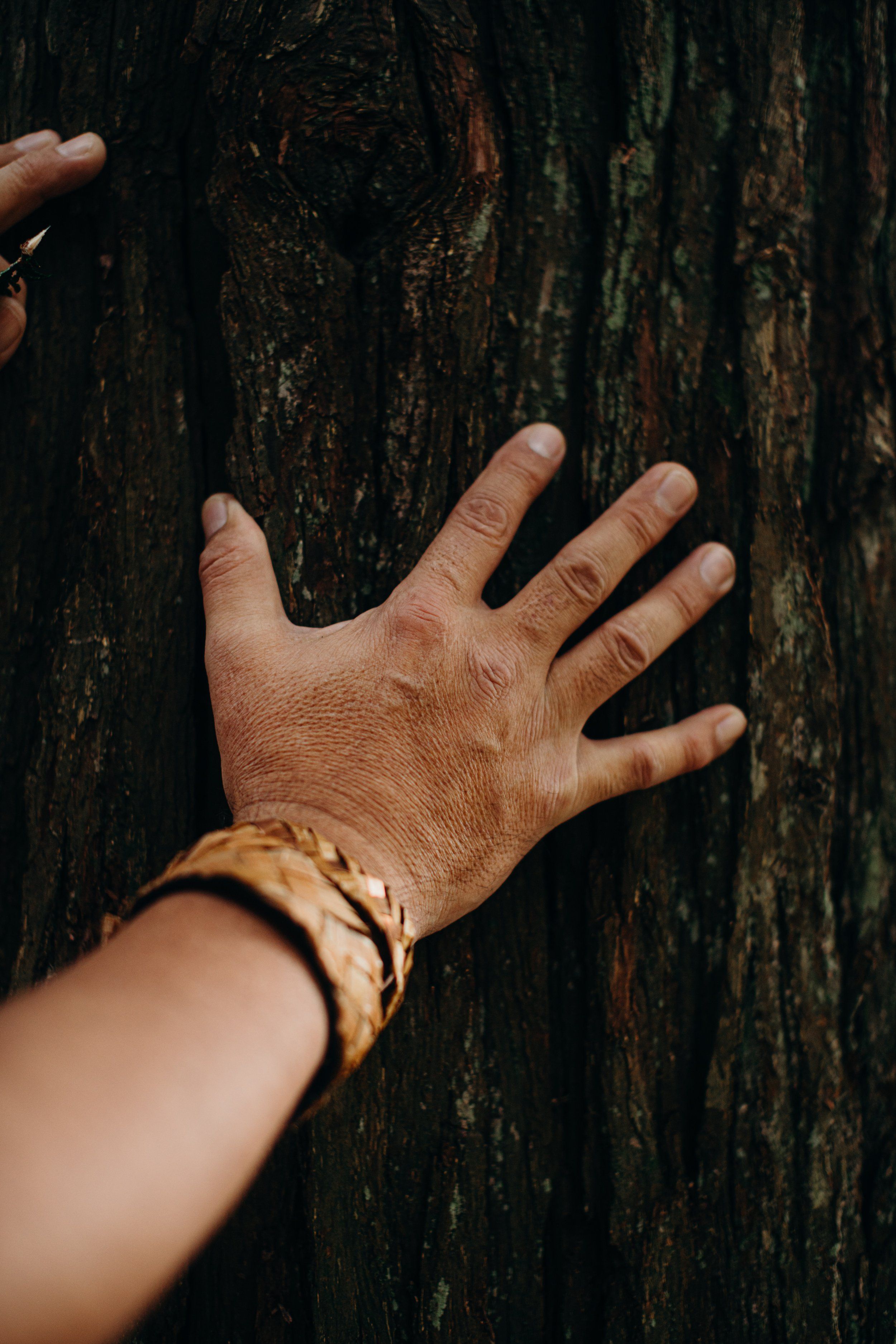 Hand pressed against weathered dark wood, displaying gold bracelet and earth-toned patina in natural light