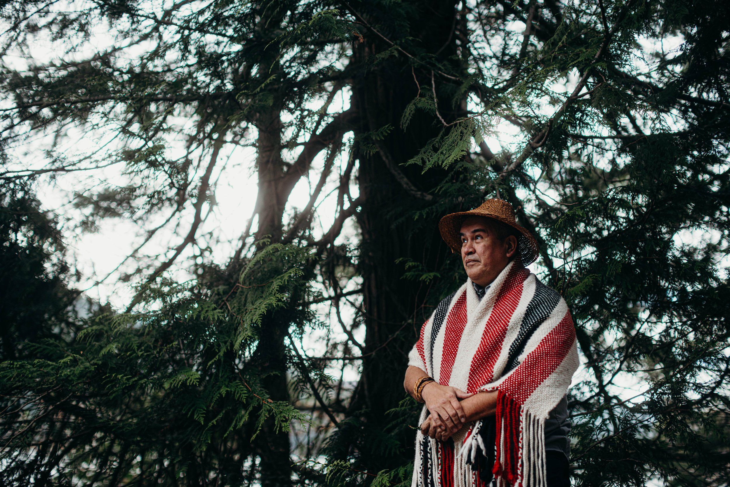 Man in wide-brimmed hat and red-striped shawl stands beneath towering evergreen trees in dappled forest light