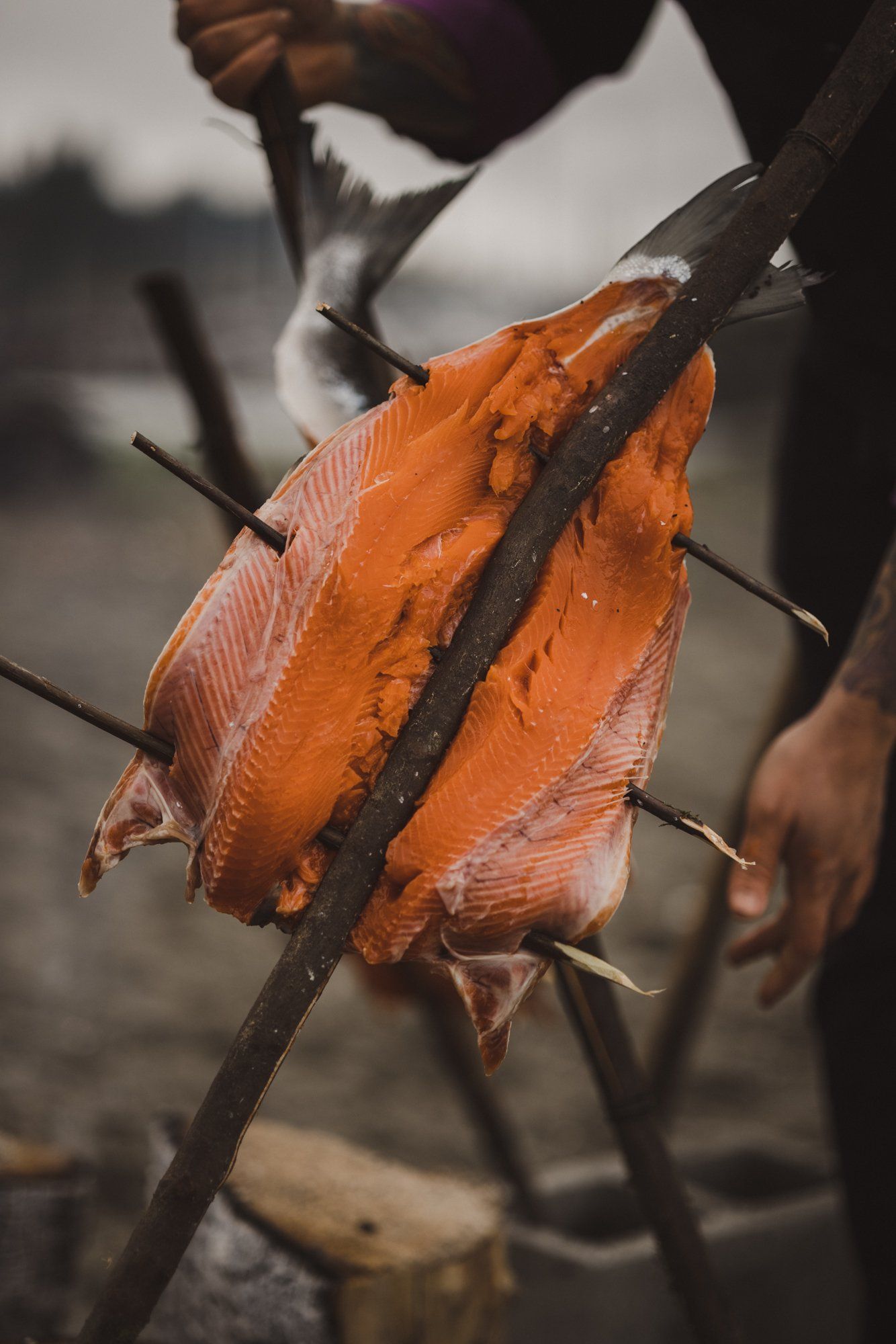 Hands hold a vibrant orange leaf against a blurred natural backdrop, revealing delicate veining and weathered texture in soft, diffused light