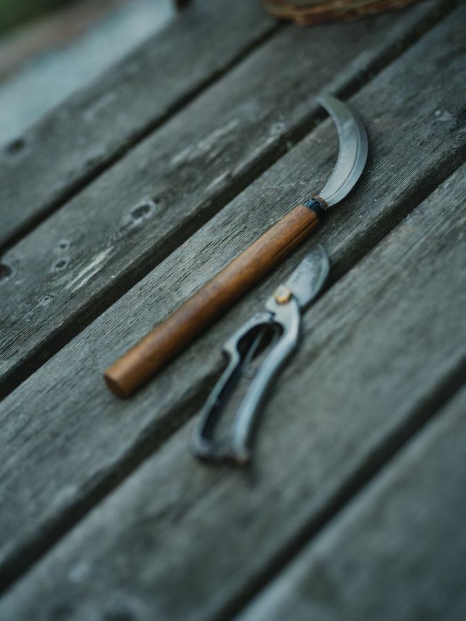 Wooden-handled knife and pruning shears resting on weathered grey planks